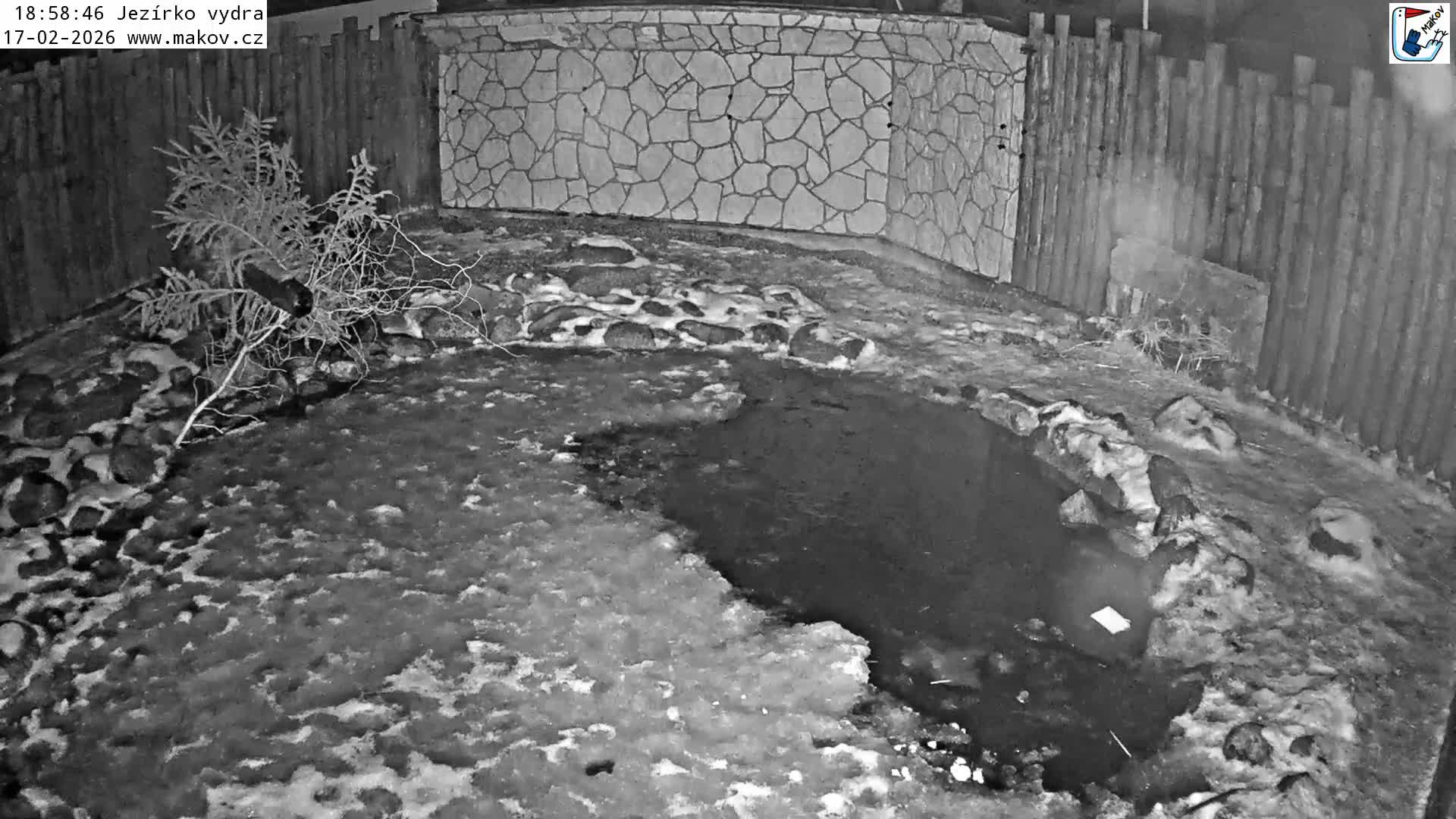 Pisek, Makov Animal Rescue Station Lake Live Cam - Cizova, Pisek, Juhočeský Kraj (South Bohemian), Czechia