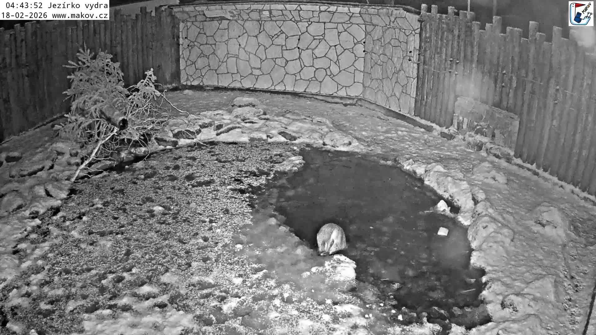 Pisek, Makov Animal Rescue Station Lake Live Cam - Cizova, Pisek, Juhočeský Kraj (South Bohemian), Czechia