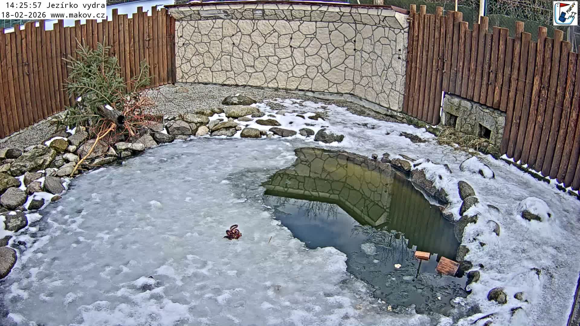 Pisek, Makov Animal Rescue Station Lake Live Cam - Cizova, Pisek, Juhočeský Kraj (South Bohemian), Czechia