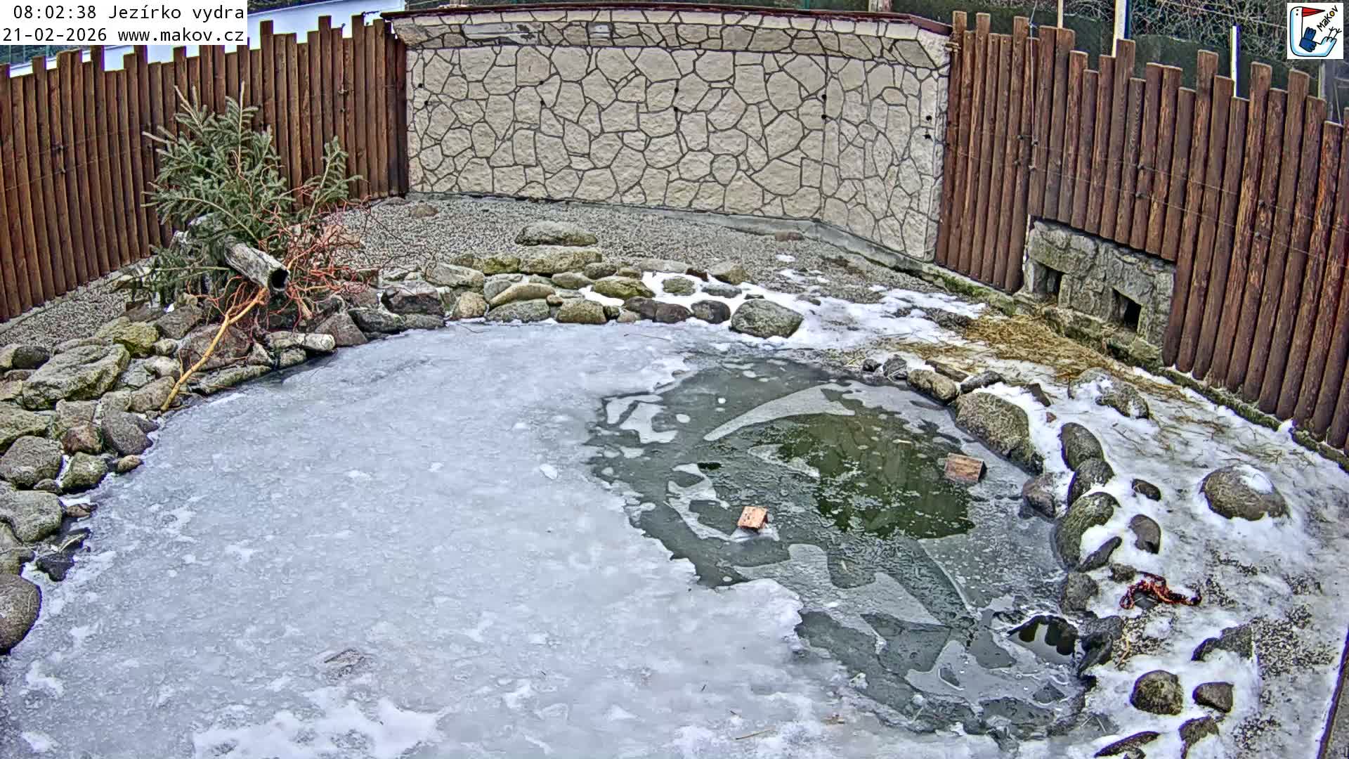 Pisek, Makov Animal Rescue Station Lake Live Cam - Cizova, Pisek, Juhočeský Kraj (South Bohemian), Czechia
