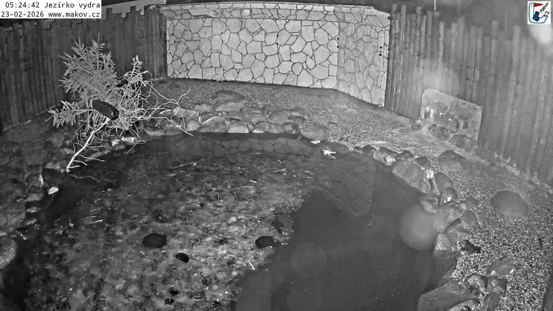 Pisek, Makov Animal Rescue Station Lake Live Cam - Cizova, Pisek, Juhočeský Kraj (South Bohemian), Czechia