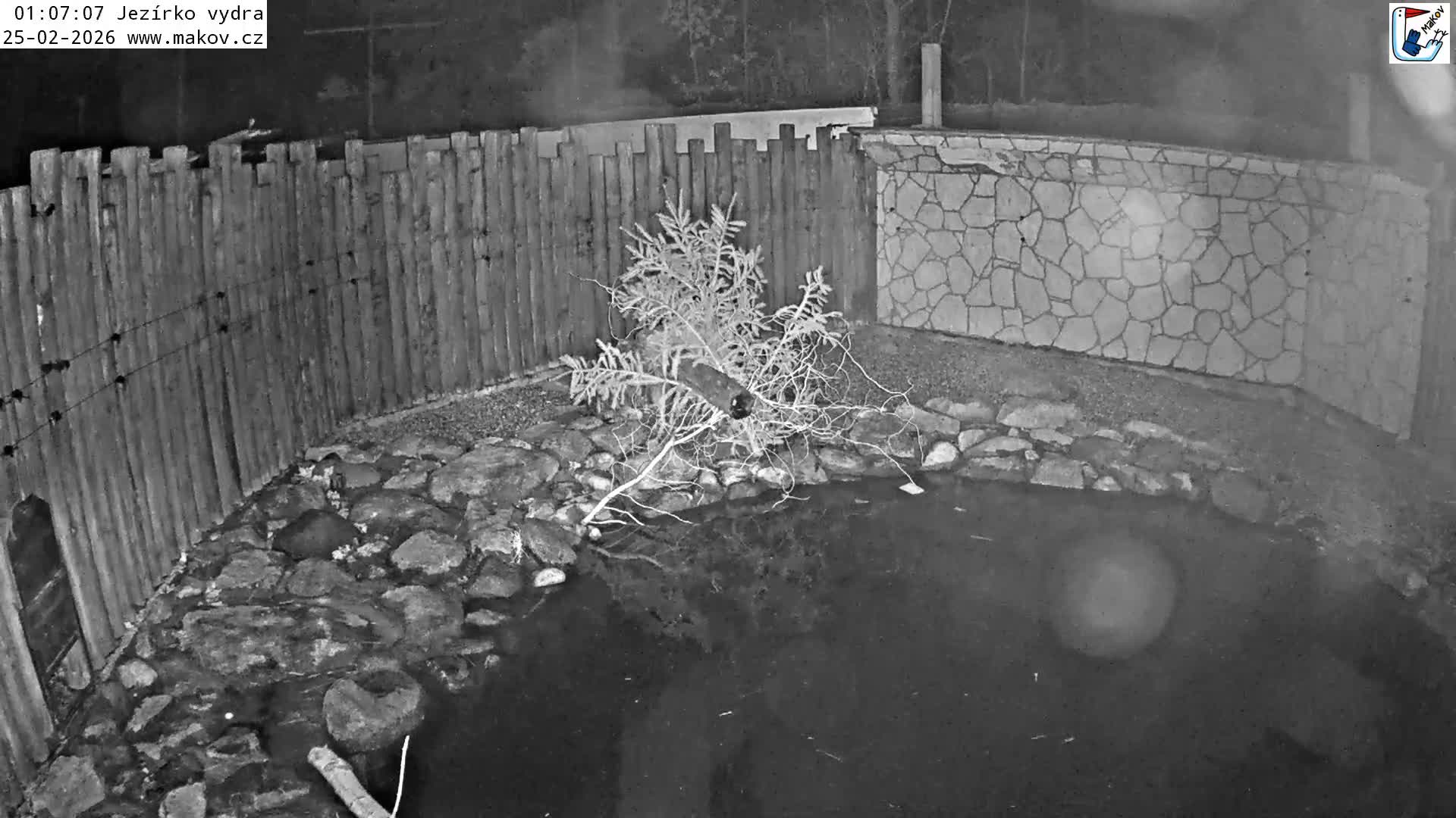 Pisek, Makov Animal Rescue Station Lake Live Cam - Cizova, Pisek, Juhočeský Kraj (South Bohemian), Czechia