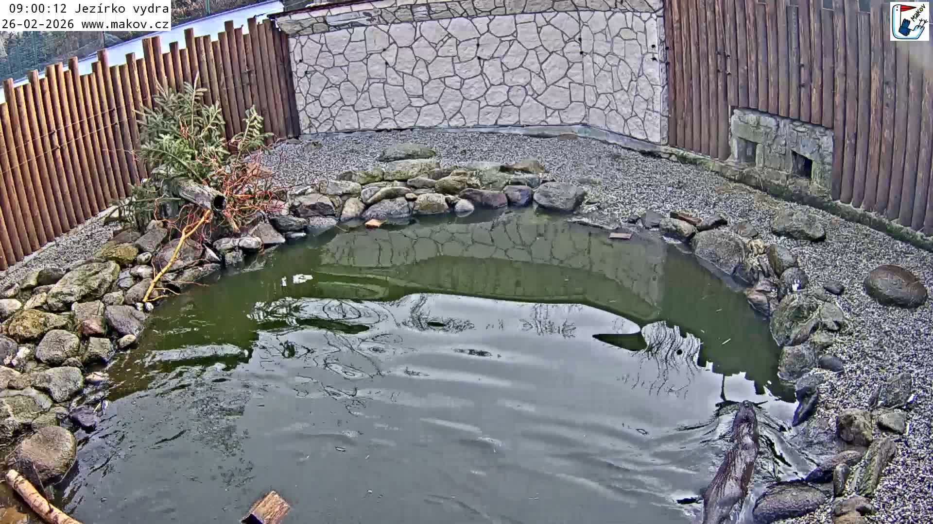 Pisek, Makov Animal Rescue Station Lake Live Cam - Cizova, Pisek, Juhočeský Kraj (South Bohemian), Czechia