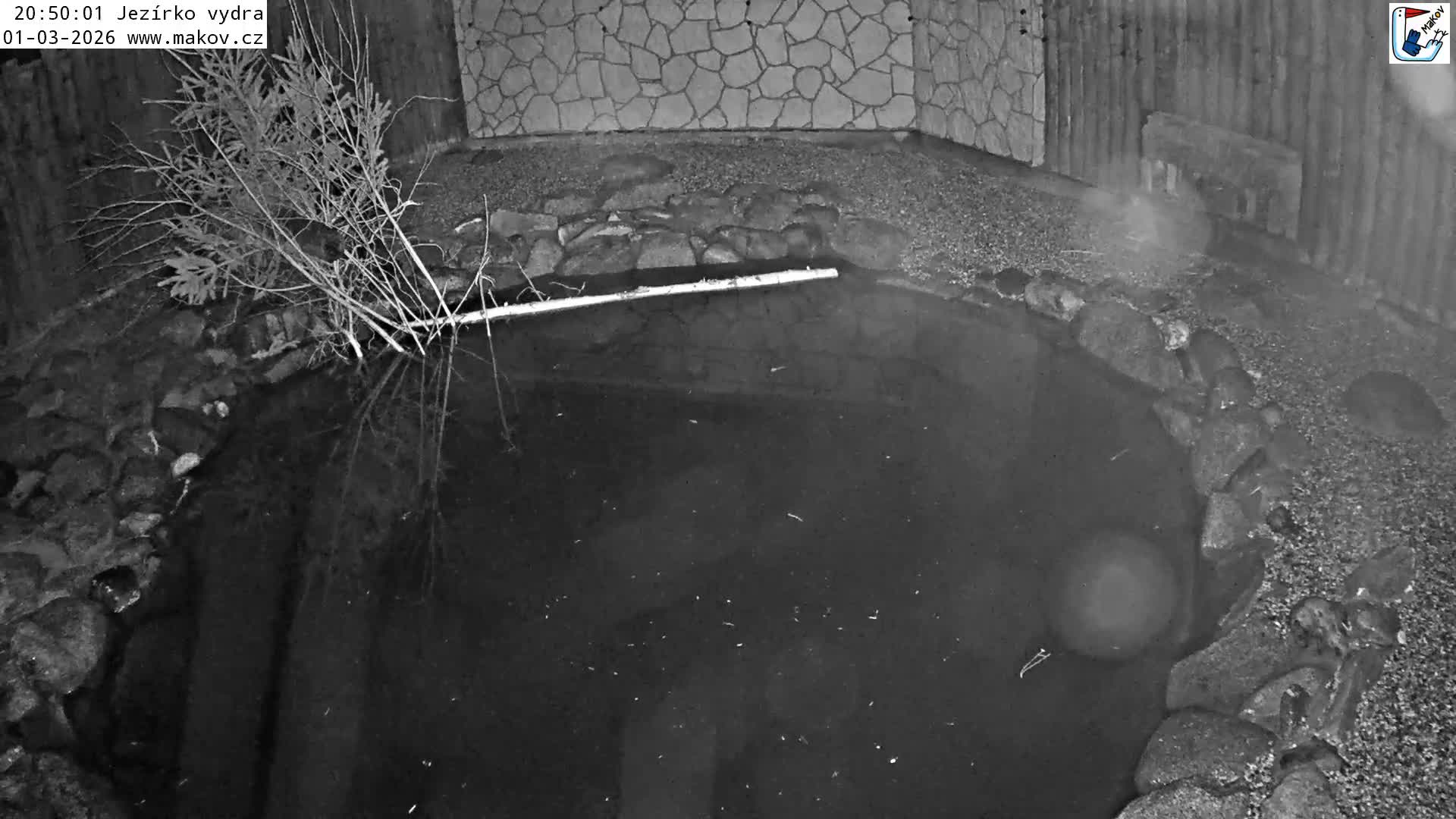 Pisek, Makov Animal Rescue Station Lake Live Cam - Cizova, Pisek, Juhočeský Kraj (South Bohemian), Czechia