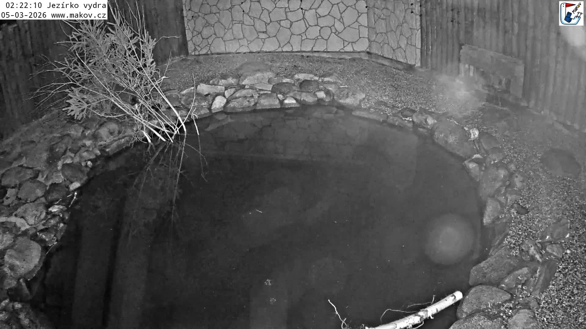Pisek, Makov Animal Rescue Station Lake Live Cam - Cizova, Pisek, Juhočeský Kraj (South Bohemian), Czechia