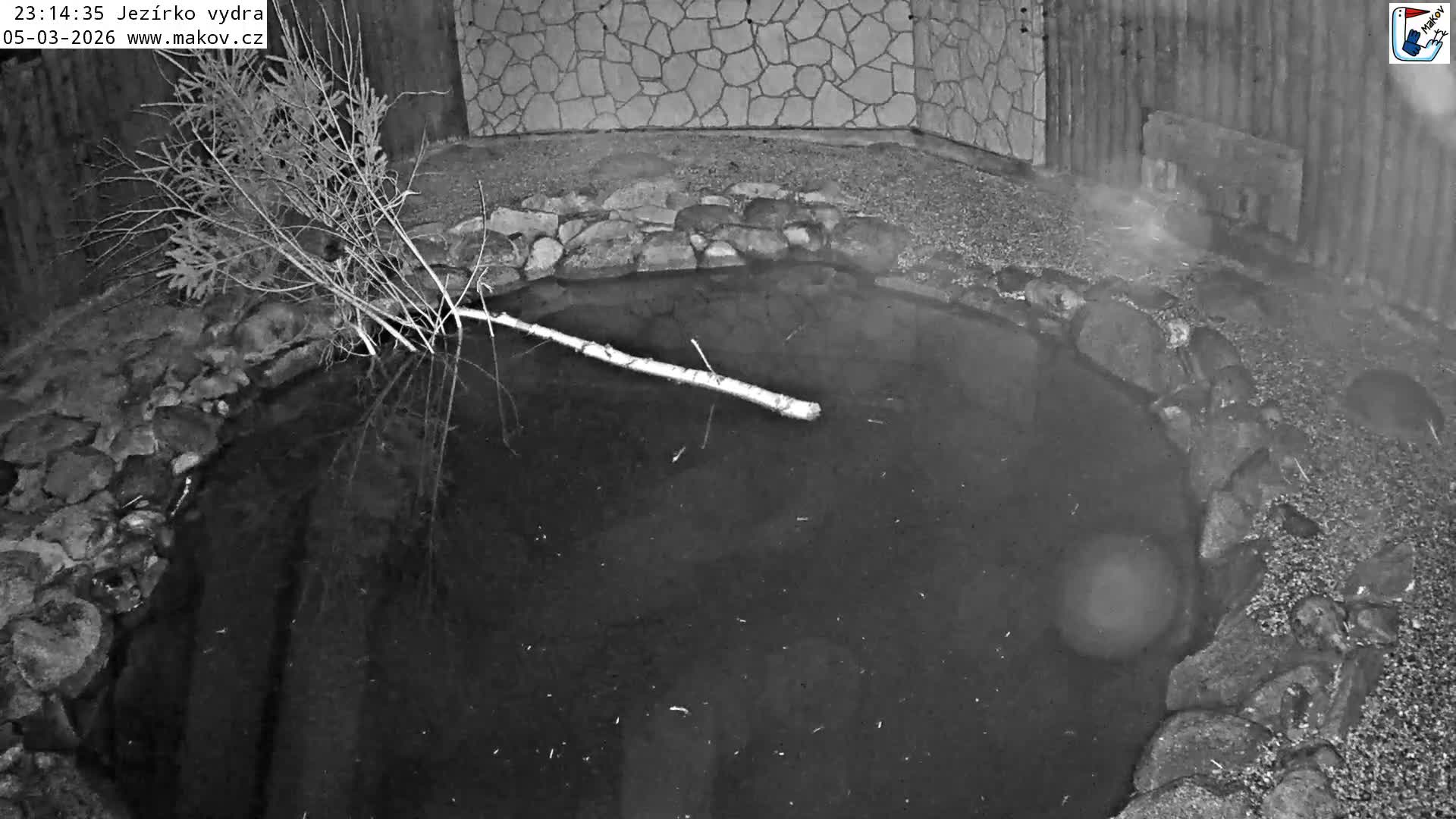 Pisek, Makov Animal Rescue Station Lake Live Cam - Cizova, Pisek, Juhočeský Kraj (South Bohemian), Czechia