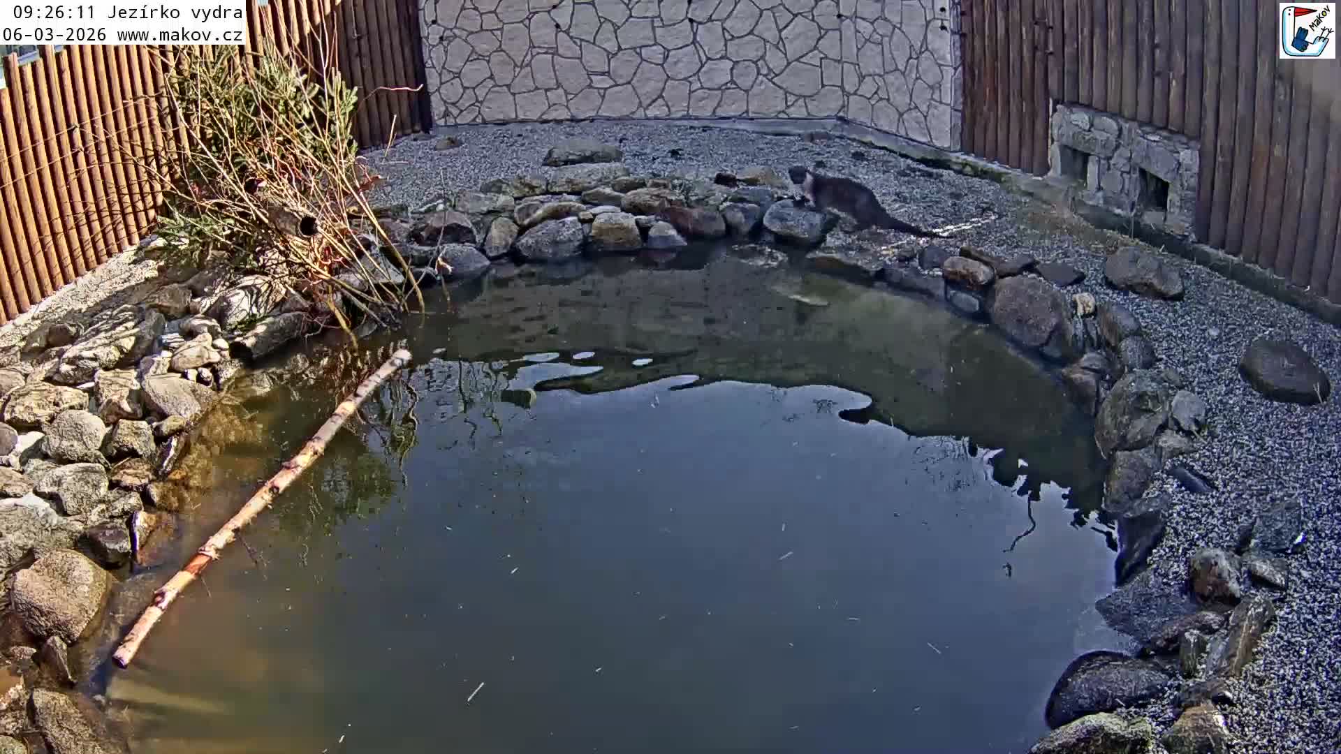 Pisek, Makov Animal Rescue Station Lake Live Cam - Cizova, Pisek, Juhočeský Kraj (South Bohemian), Czechia