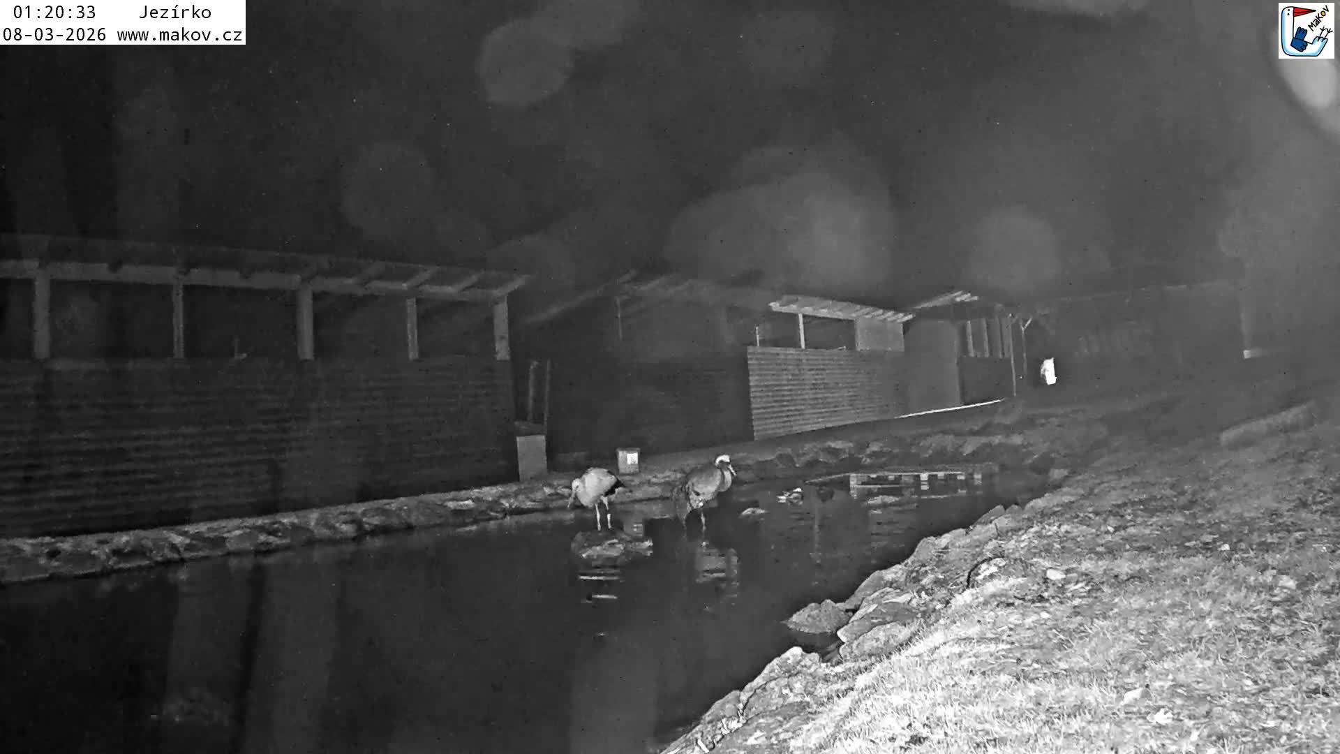 Pisek, Makov Animal Rescue Station Lake Live Cam - Cizova, Pisek, Juhočeský Kraj (South Bohemian), Czechia