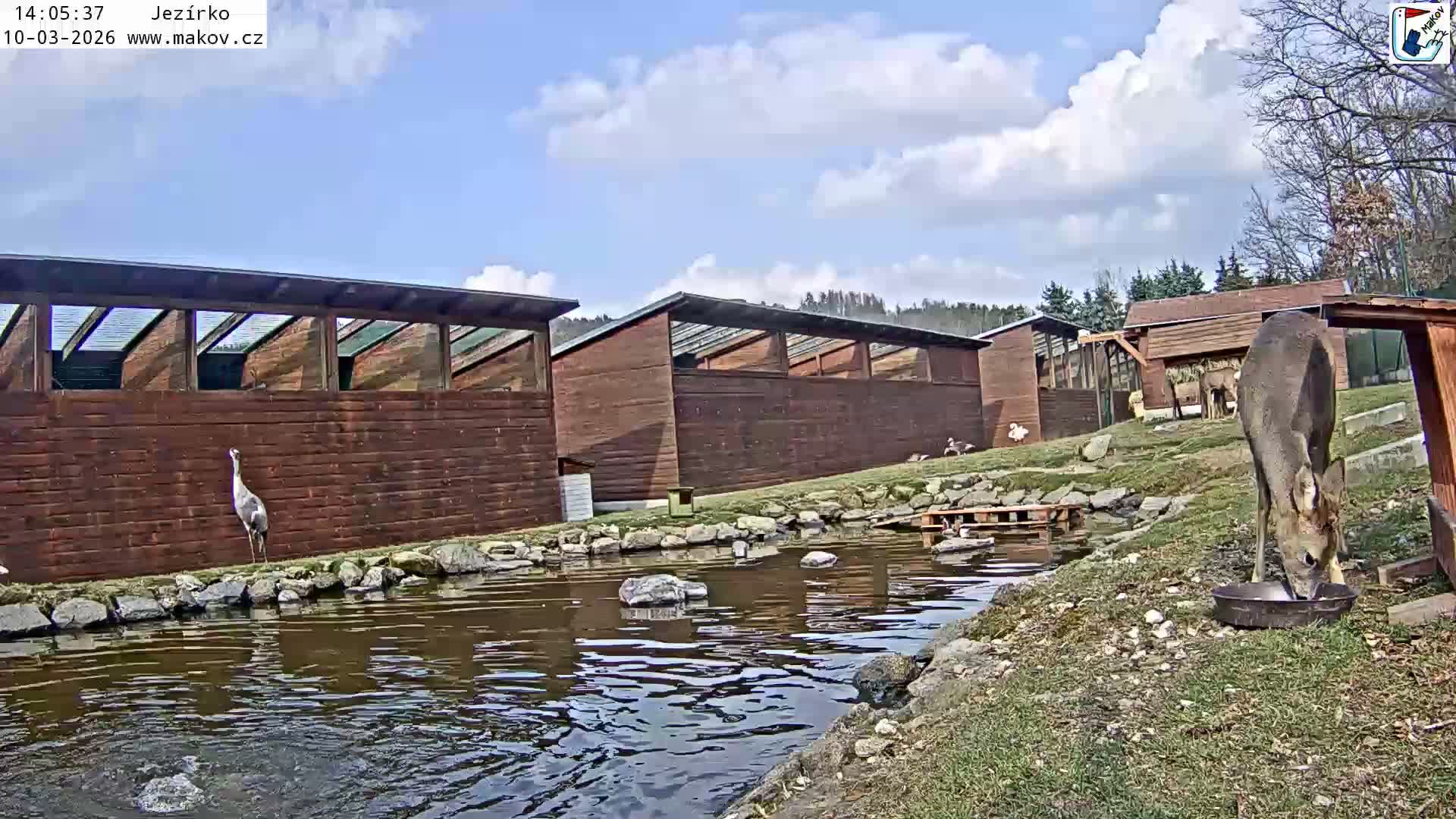Pisek, Makov Animal Rescue Station Lake Live Cam - Cizova, Pisek, Juhočeský Kraj (South Bohemian), Czechia