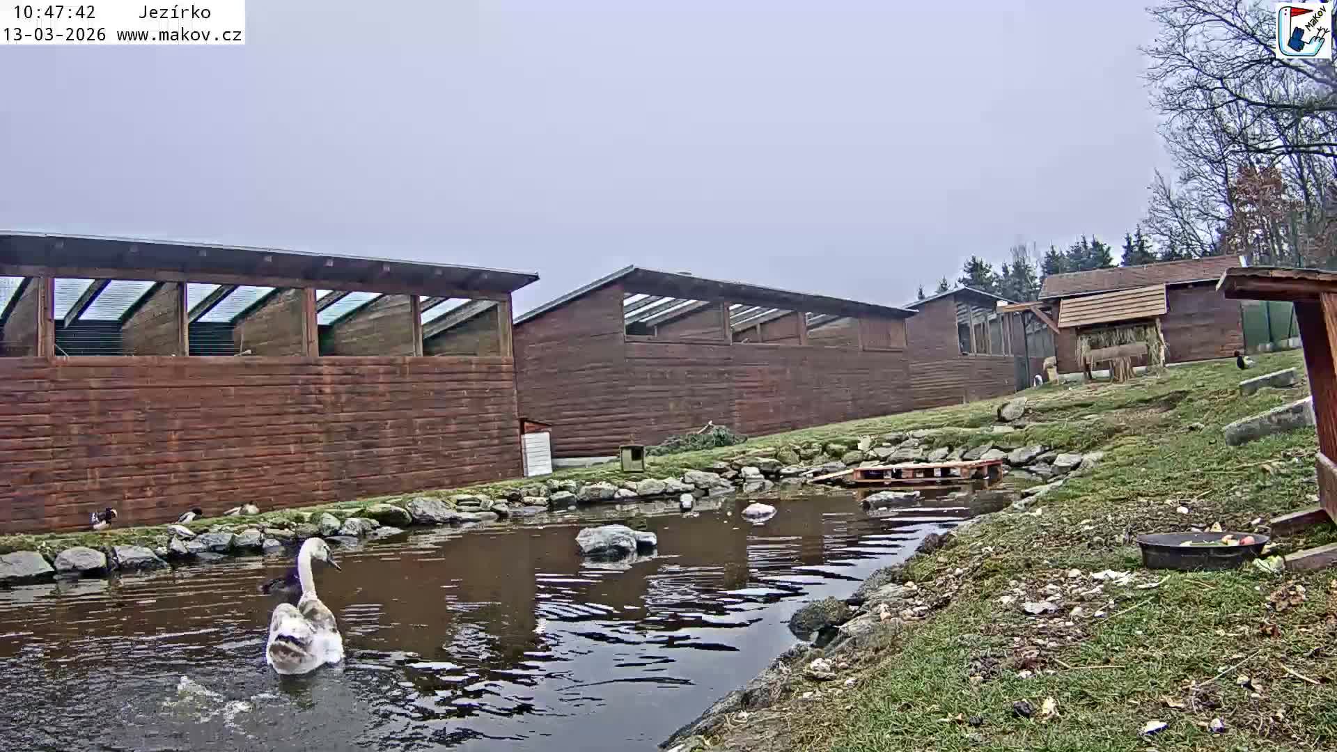 Pisek, Makov Animal Rescue Station Lake Live Cam - Cizova, Pisek, Juhočeský Kraj (South Bohemian), Czechia