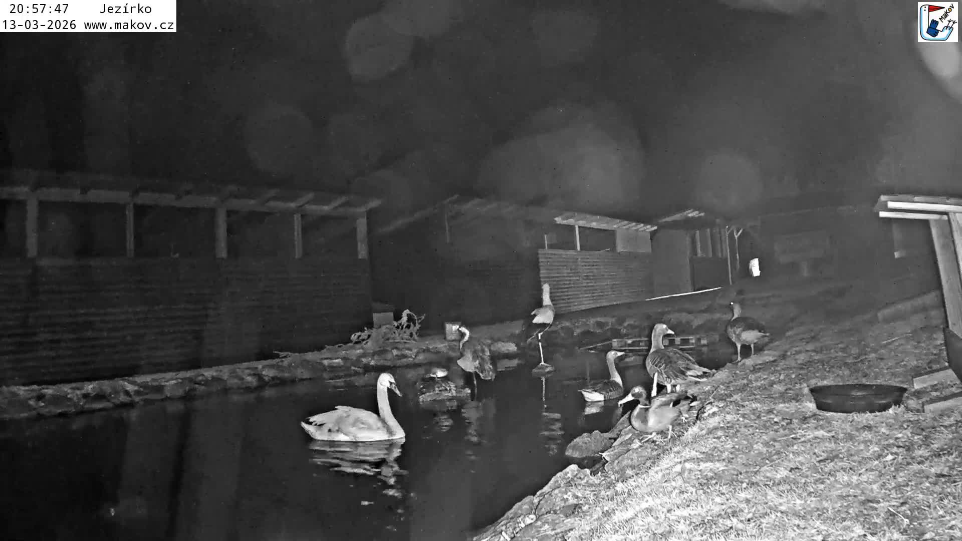 Pisek, Makov Animal Rescue Station Lake Live Cam - Cizova, Pisek, Juhočeský Kraj (South Bohemian), Czechia