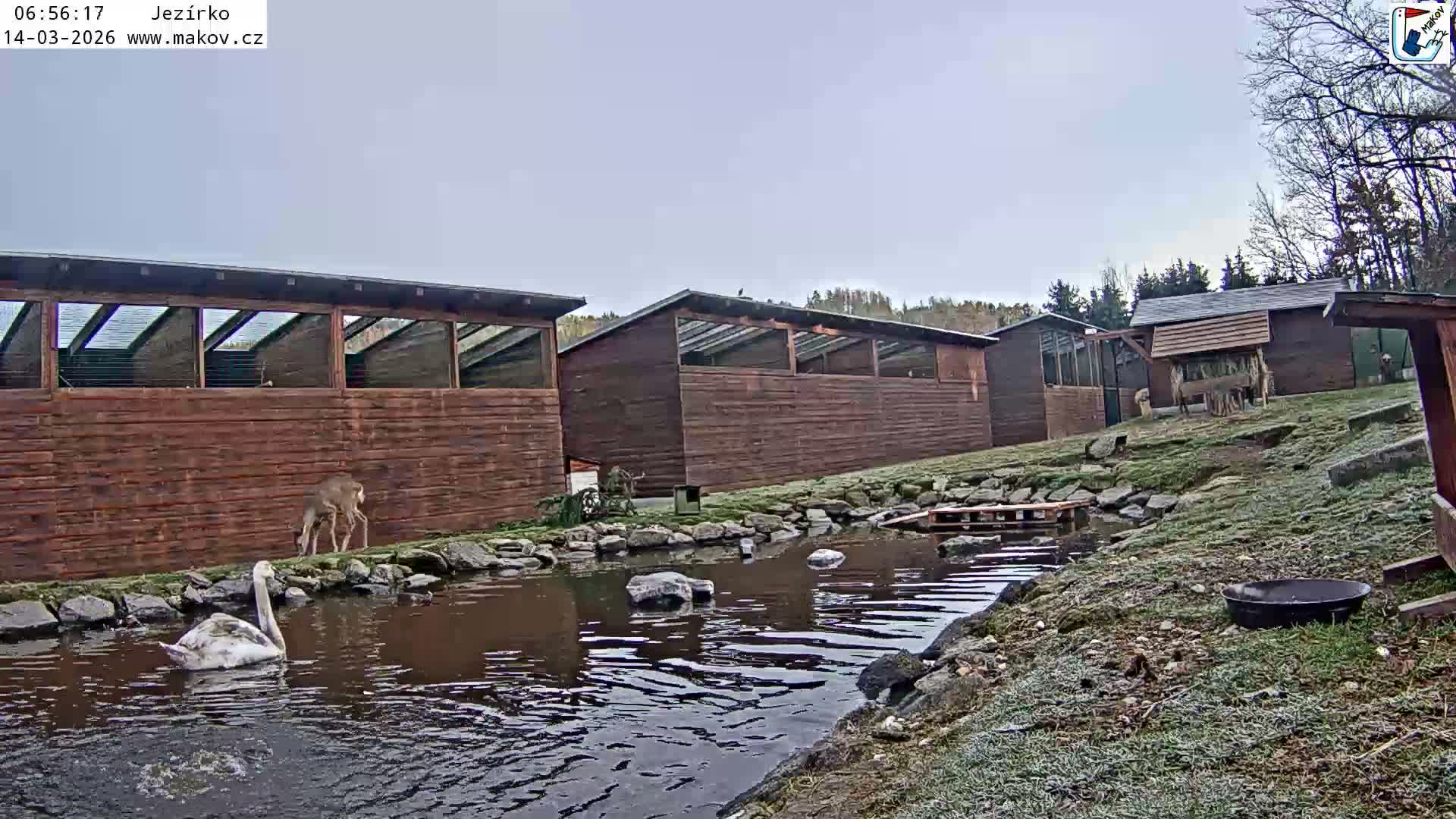 Pisek, Makov Animal Rescue Station Lake Live Cam - Cizova, Pisek, Juhočeský Kraj (South Bohemian), Czechia
