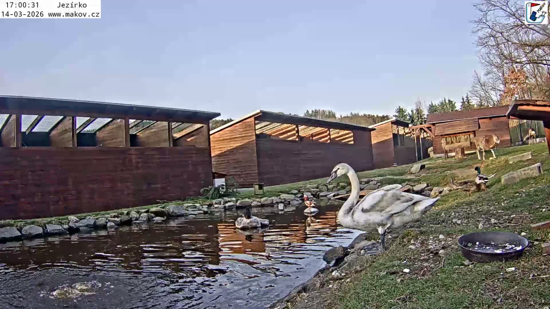 Pisek, Makov Animal Rescue Station Lake Live Cam - Cizova, Pisek, Juhočeský Kraj (South Bohemian), Czechia