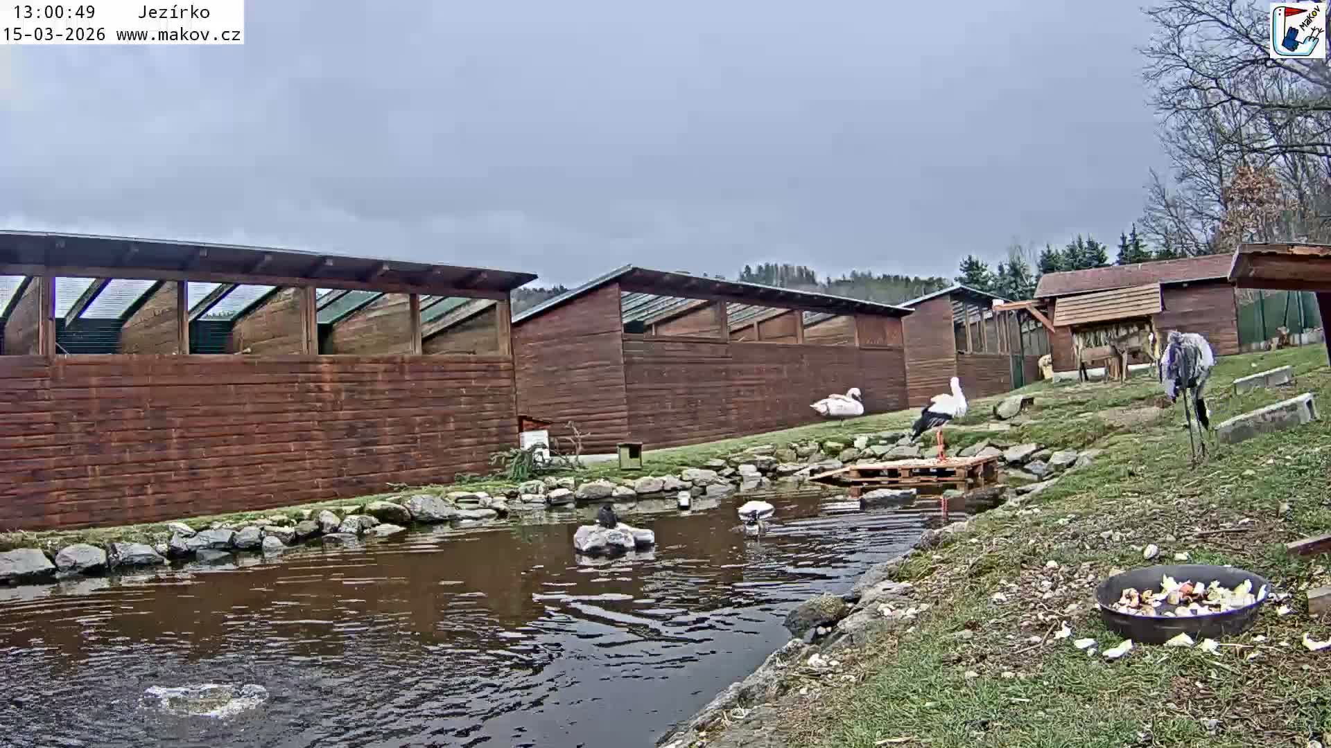 Pisek, Makov Animal Rescue Station Lake Live Cam - Cizova, Pisek, Juhočeský Kraj (South Bohemian), Czechia