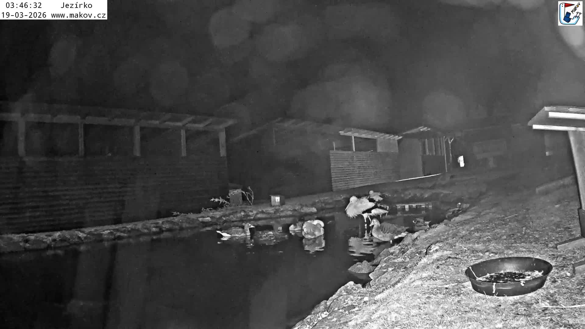 Pisek, Makov Animal Rescue Station Lake Live Cam - Cizova, Pisek, Juhočeský Kraj (South Bohemian), Czechia