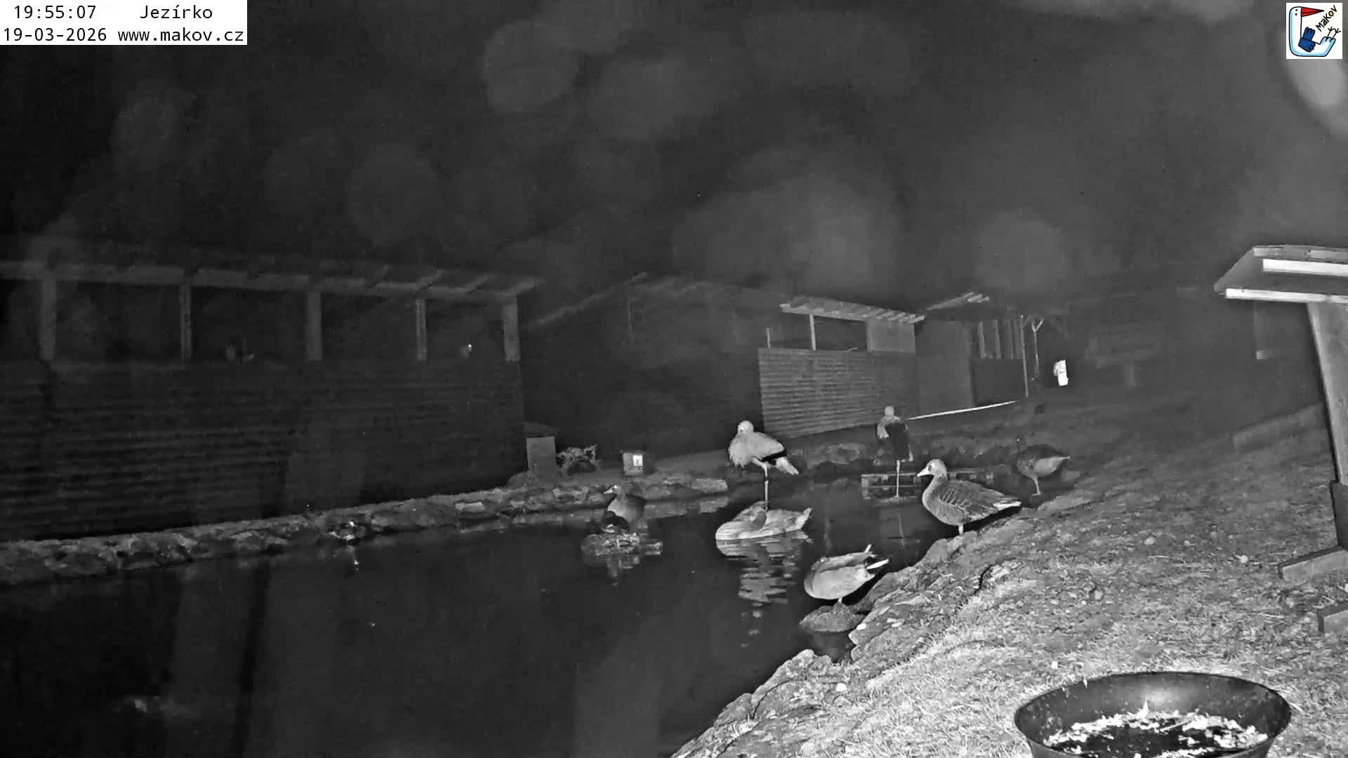 Pisek, Makov Animal Rescue Station Lake Live Cam - Cizova, Pisek, Juhočeský Kraj (South Bohemian), Czechia