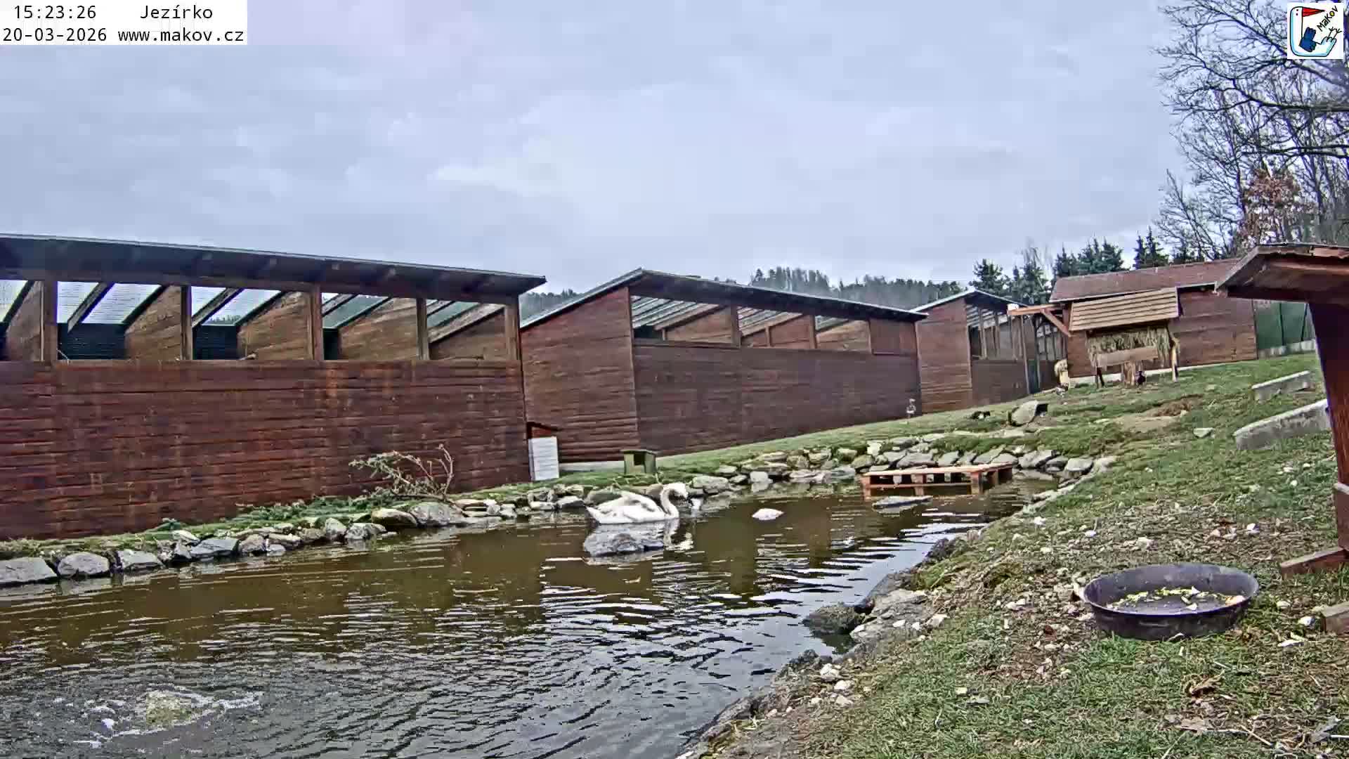 Pisek, Makov Animal Rescue Station Lake Live Cam - Cizova, Pisek, Juhočeský Kraj (South Bohemian), Czechia