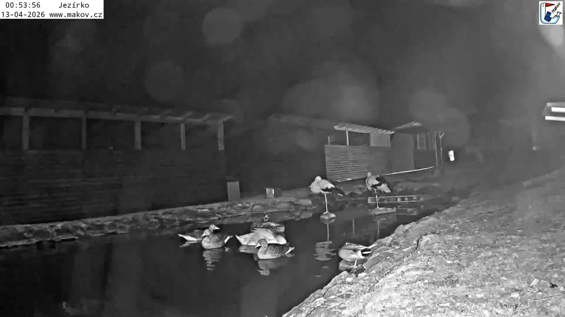 Pisek, Makov Animal Rescue Station Lake Live Cam - Cizova, Pisek, Juhočeský Kraj (South Bohemian), Czechia