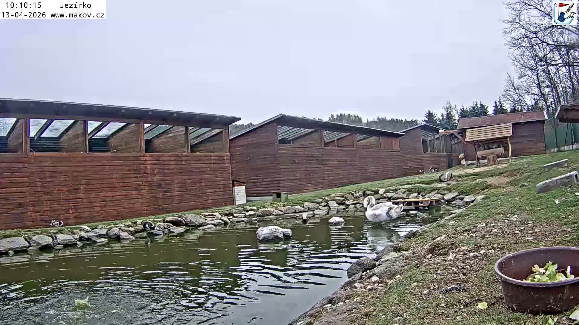 A rocky pond with flowing water is central to an outdoor enclosure featuring gravel banks, a small evergreen tree, and a wooden fence along a stone wall under an overcast sky.