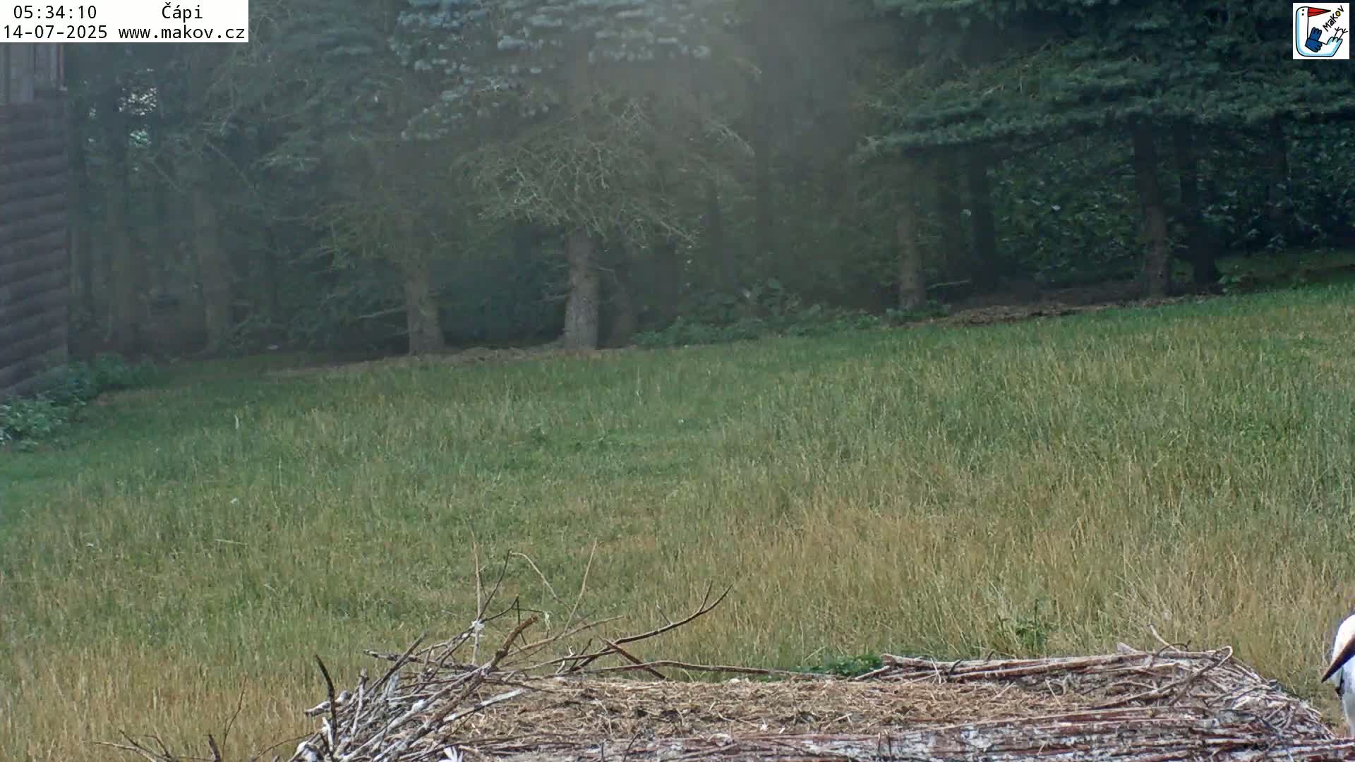 Pisek, Makov Animal Rescue Station Nest Live Cam - Cizova, Pisek, Juhočeský Kraj (South Bohemian), Czechia