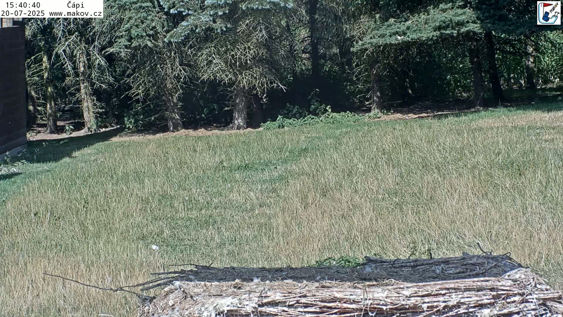 Pisek, Makov Animal Rescue Station Nest Live Cam - Cizova, Pisek, Juhočeský Kraj (South Bohemian), Czechia