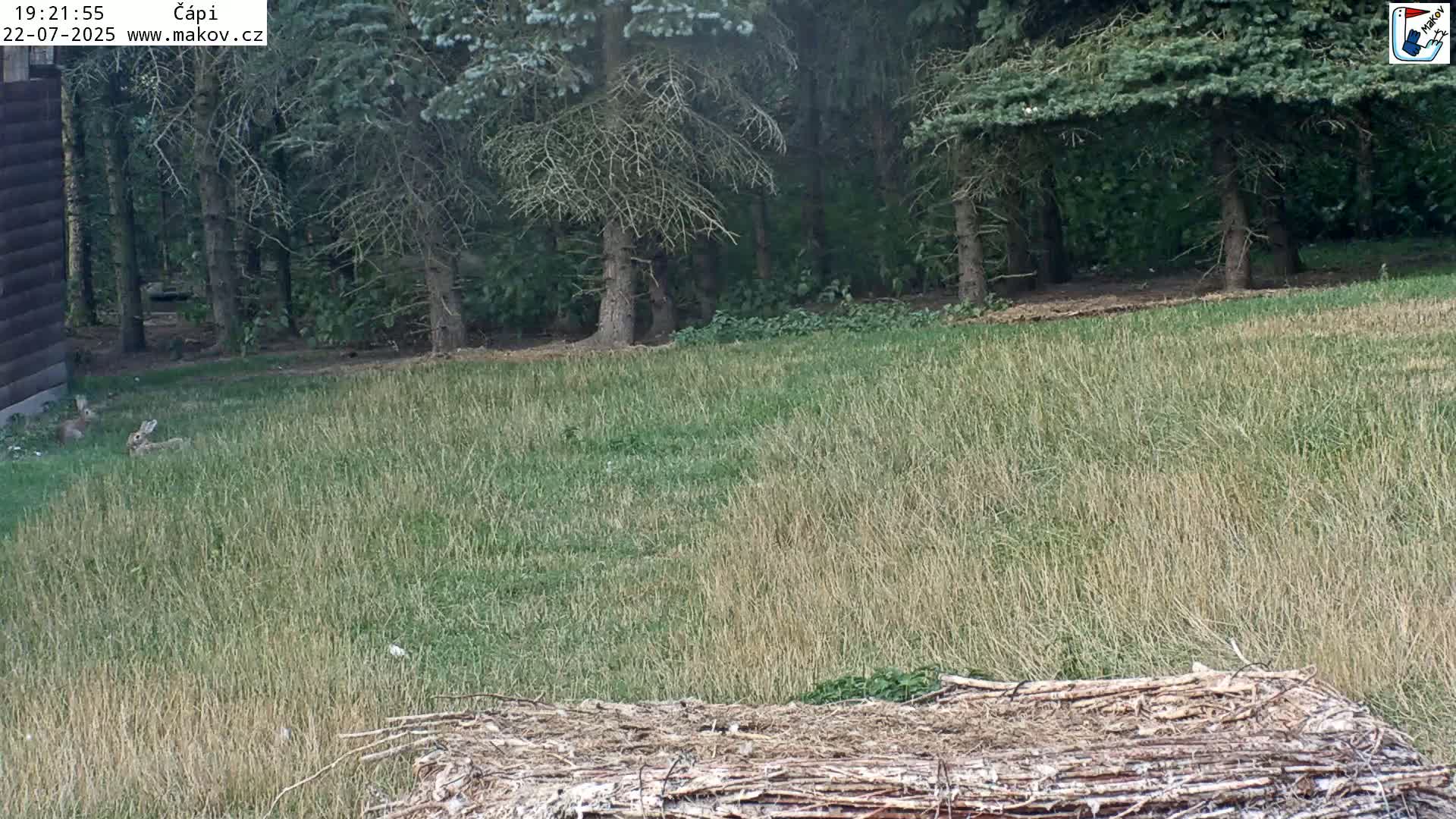 Pisek, Makov Animal Rescue Station Nest Live Cam - Cizova, Pisek, Juhočeský Kraj (South Bohemian), Czechia