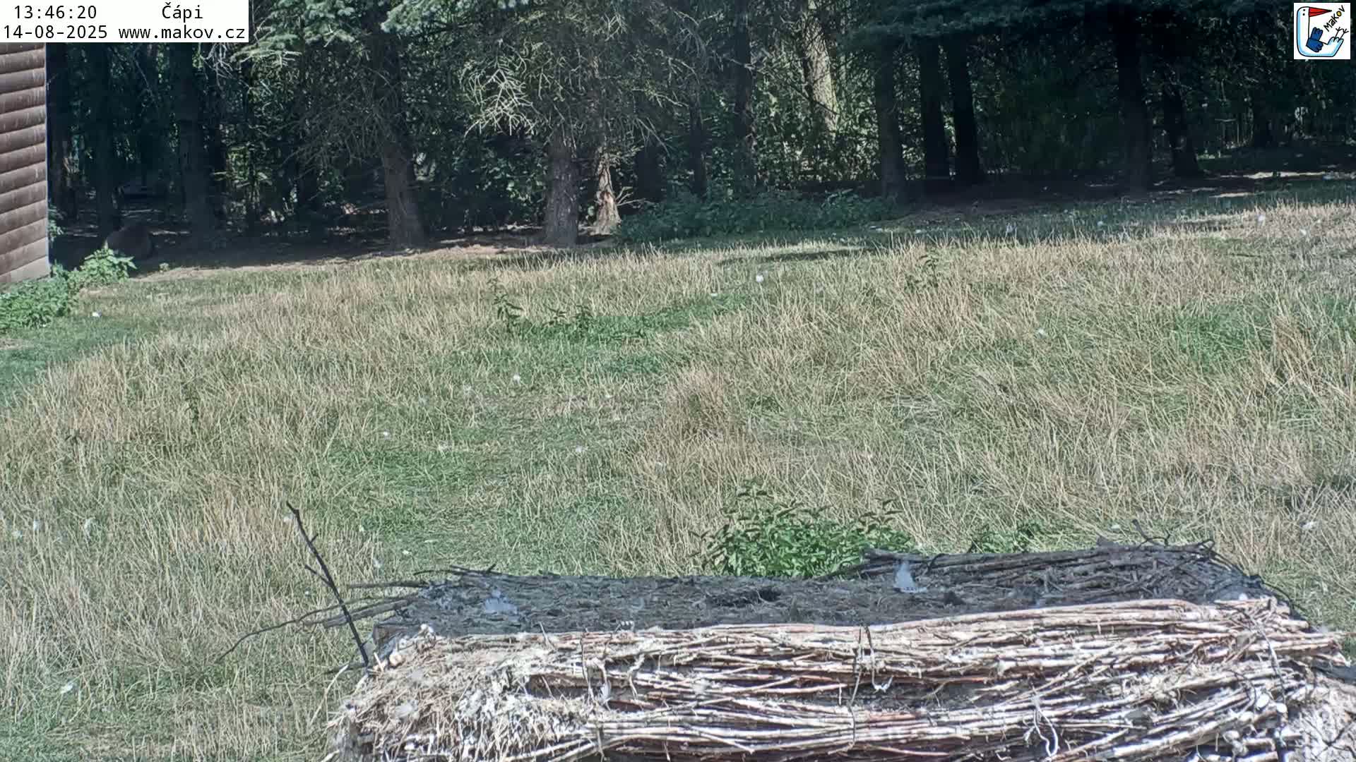 Pisek, Makov Animal Rescue Station Nest Live Cam - Cizova, Pisek, Juhočeský Kraj (South Bohemian), Czechia