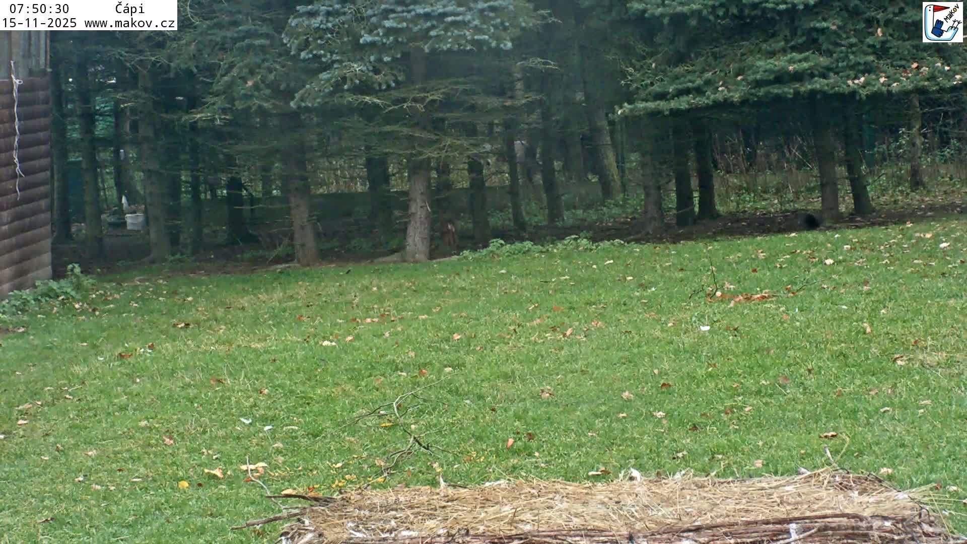 Pisek, Makov Animal Rescue Station Nest Live Cam - Cizova, Pisek, Juhočeský Kraj (South Bohemian), Czechia