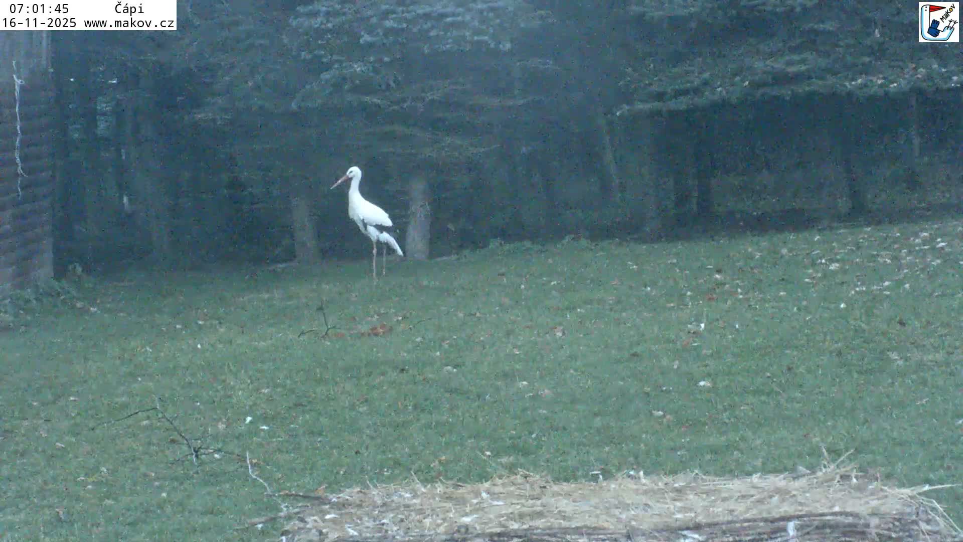 Pisek, Makov Animal Rescue Station Nest Live Cam - Cizova, Pisek, Juhočeský Kraj (South Bohemian), Czechia