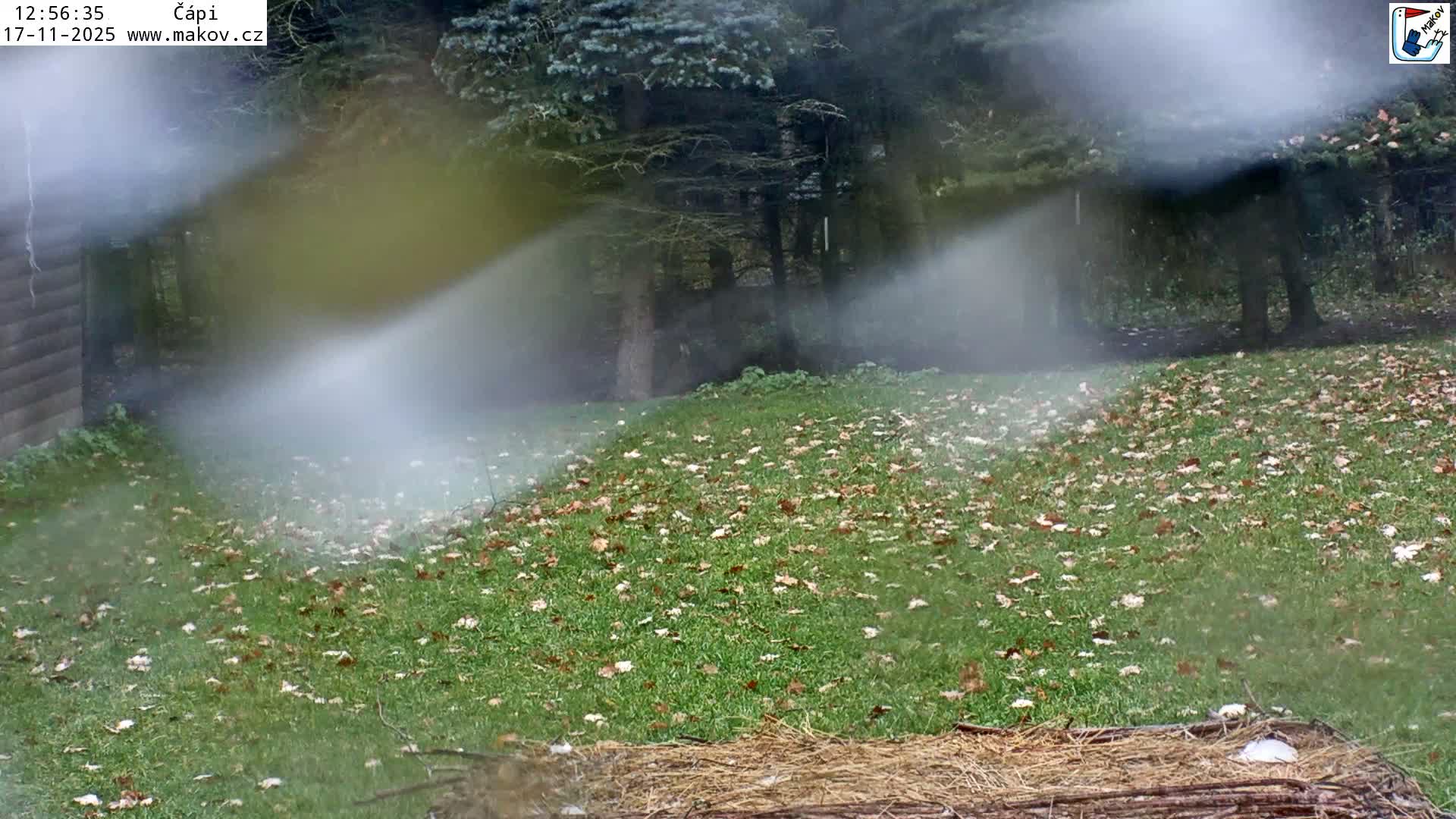 Pisek, Makov Animal Rescue Station Nest Live Cam - Cizova, Pisek, Juhočeský Kraj (South Bohemian), Czechia