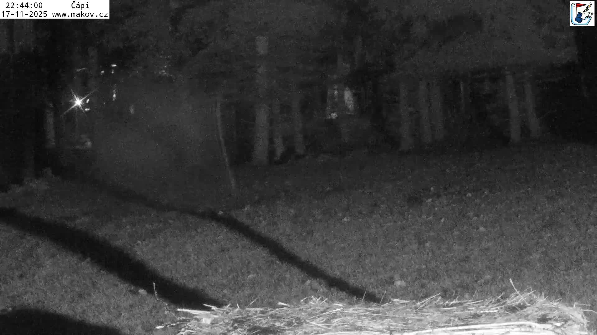 Pisek, Makov Animal Rescue Station Nest Live Cam - Cizova, Pisek, Juhočeský Kraj (South Bohemian), Czechia