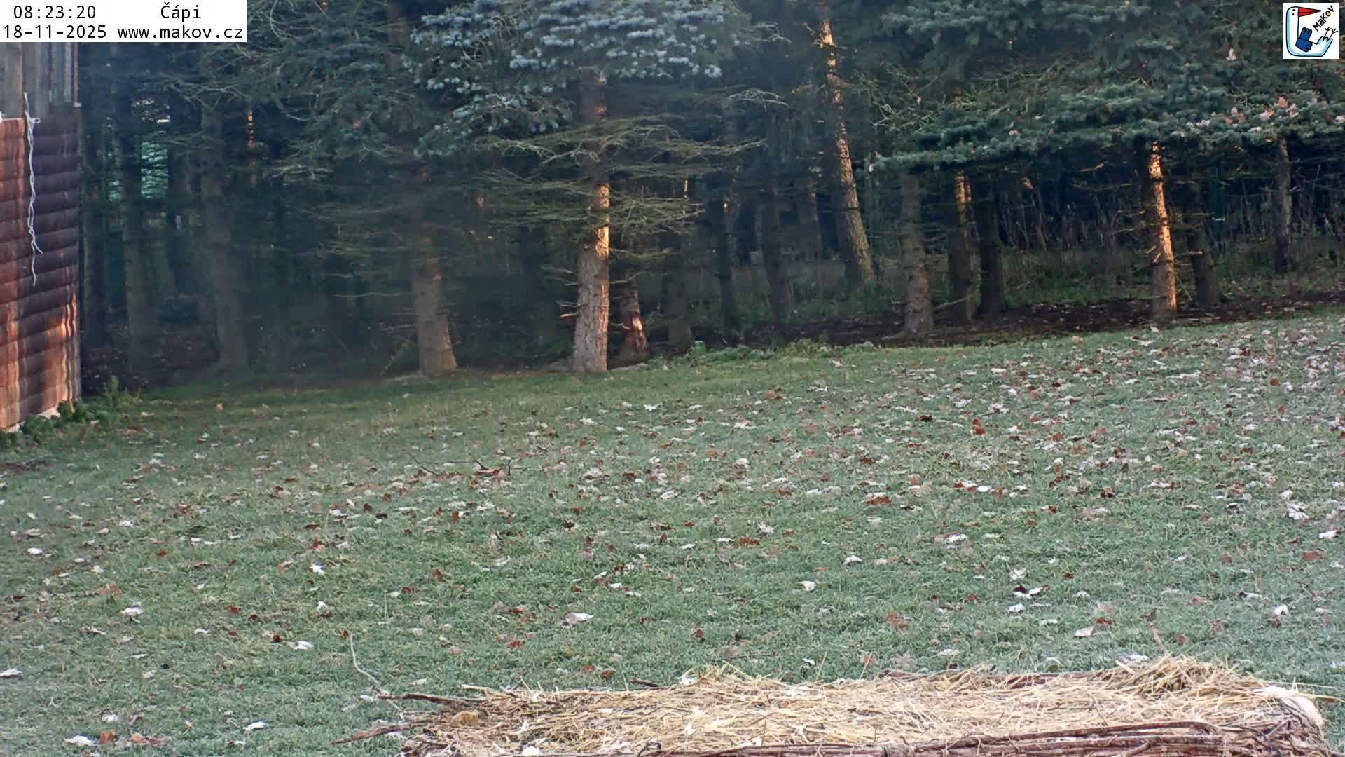 Pisek, Makov Animal Rescue Station Nest Live Cam - Cizova, Pisek, Juhočeský Kraj (South Bohemian), Czechia