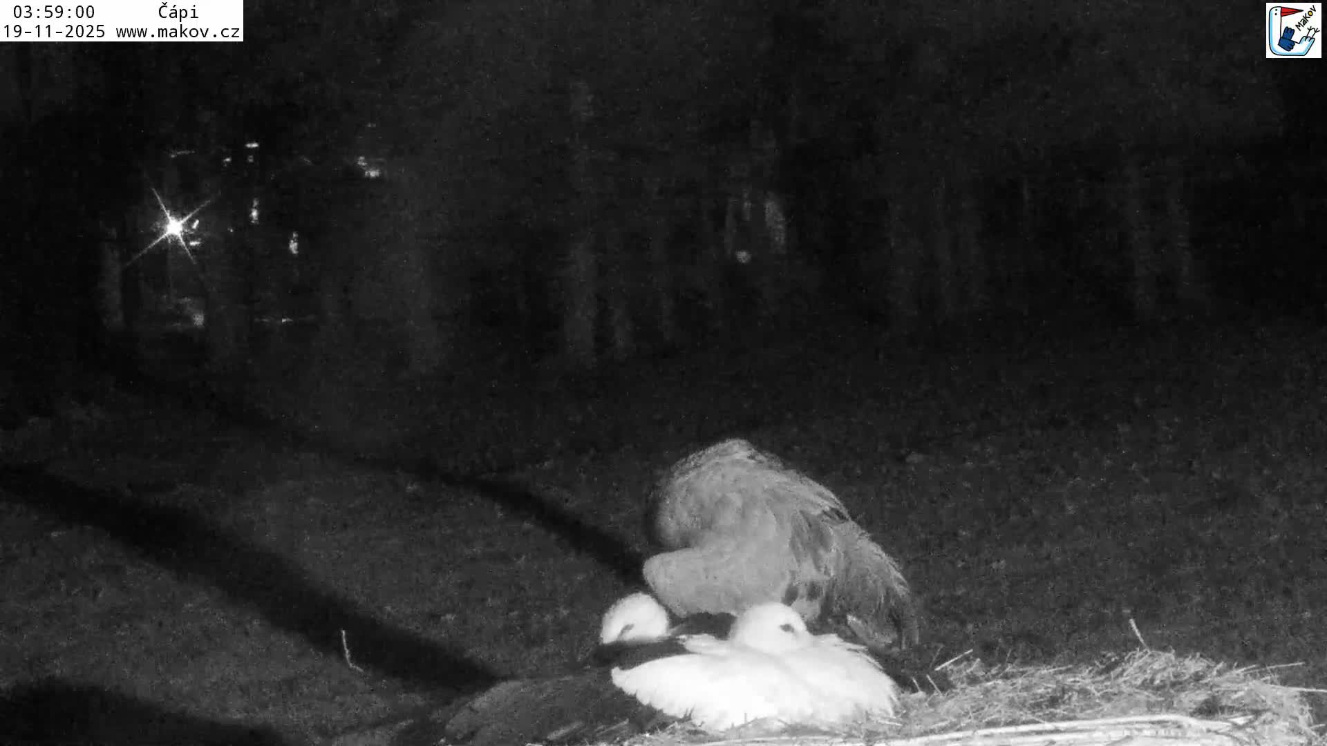 Pisek, Makov Animal Rescue Station Nest Live Cam - Cizova, Pisek, Juhočeský Kraj (South Bohemian), Czechia