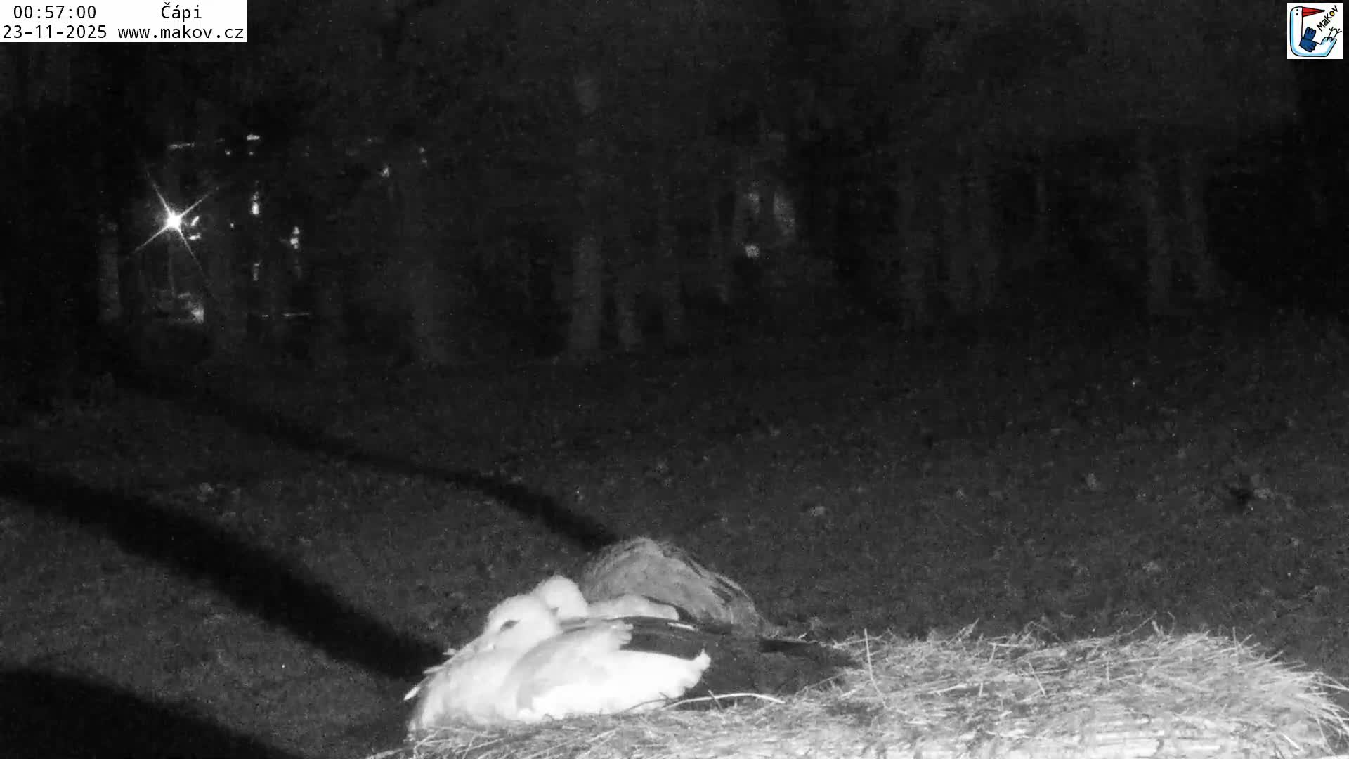 Pisek, Makov Animal Rescue Station Nest Live Cam - Cizova, Pisek, Juhočeský Kraj (South Bohemian), Czechia