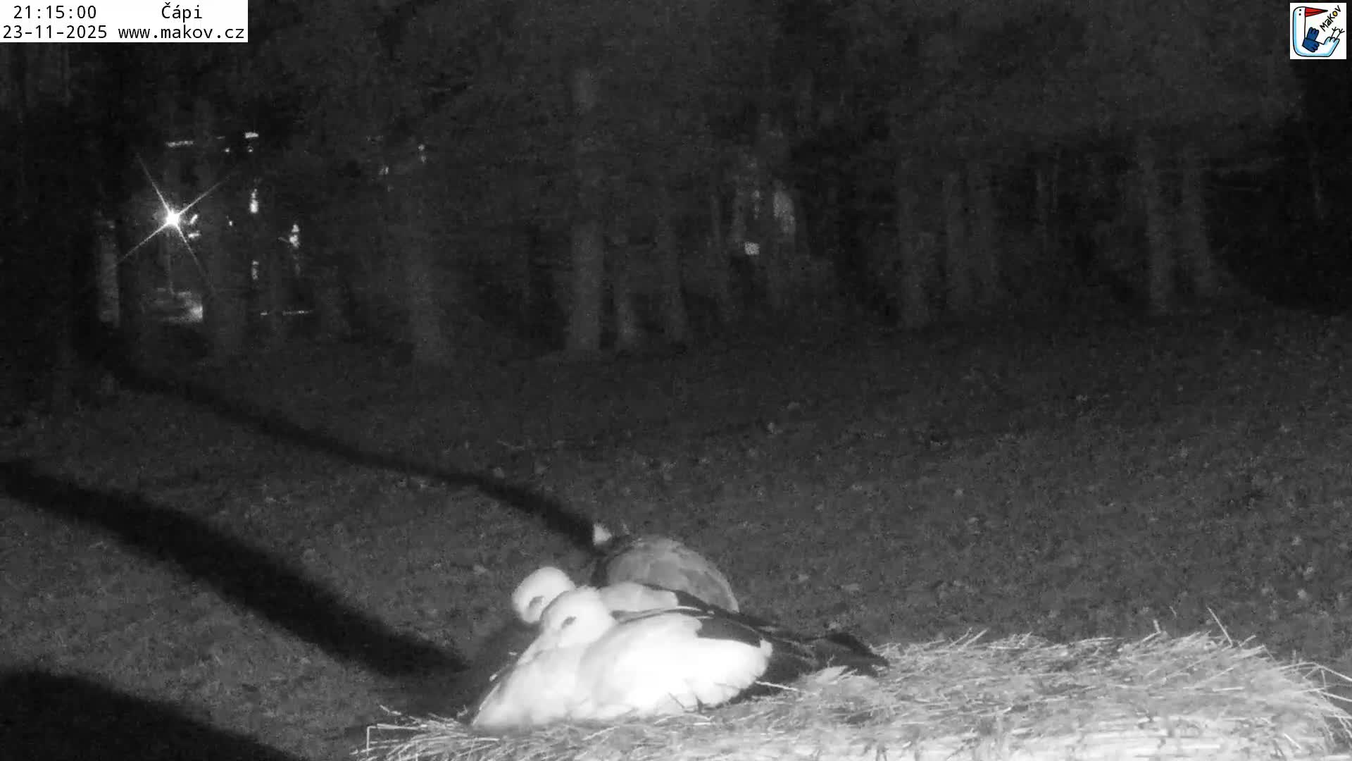 Pisek, Makov Animal Rescue Station Nest Live Cam - Cizova, Pisek, Juhočeský Kraj (South Bohemian), Czechia