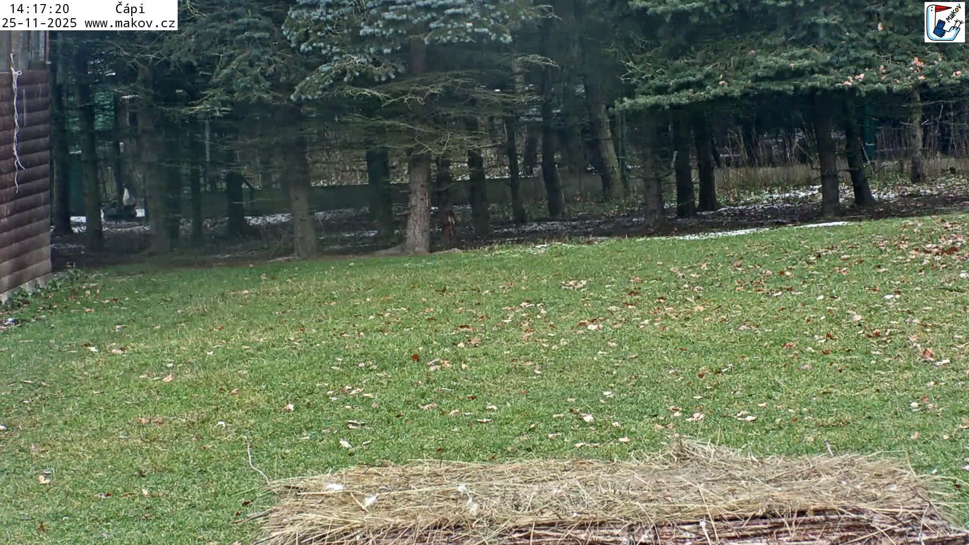 Pisek, Makov Animal Rescue Station Nest Live Cam - Cizova, Pisek, Juhočeský Kraj (South Bohemian), Czechia