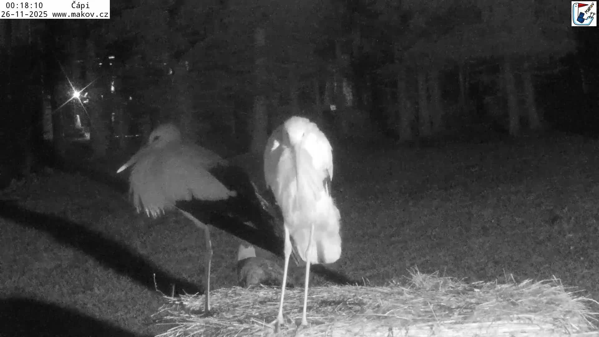 Pisek, Makov Animal Rescue Station Nest Live Cam - Cizova, Pisek, Juhočeský Kraj (South Bohemian), Czechia