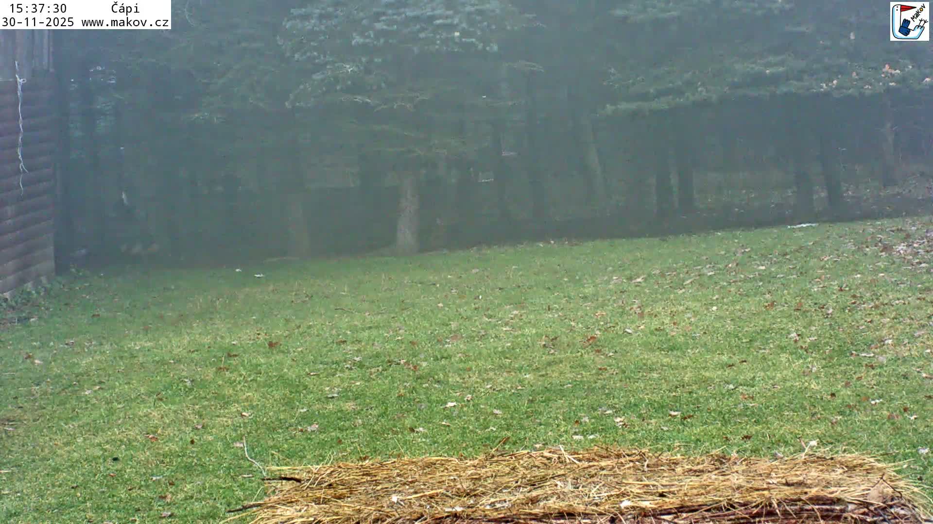 Pisek, Makov Animal Rescue Station Nest Live Cam - Cizova, Pisek, Juhočeský Kraj (South Bohemian), Czechia