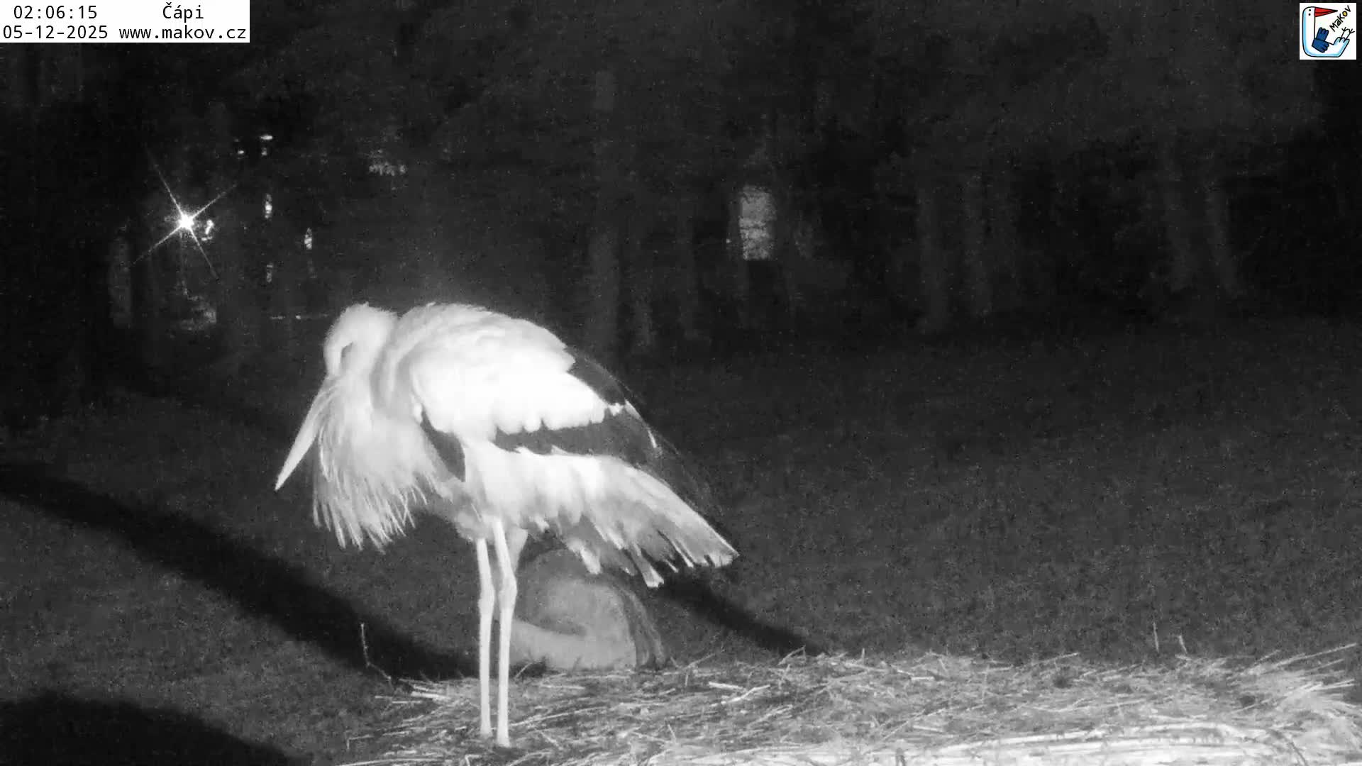 Pisek, Makov Animal Rescue Station Nest Live Cam - Cizova, Pisek, Juhočeský Kraj (South Bohemian), Czechia