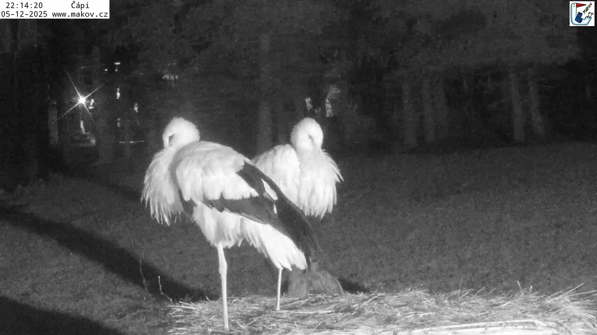 Pisek, Makov Animal Rescue Station Nest Live Cam - Cizova, Pisek, Juhočeský Kraj (South Bohemian), Czechia