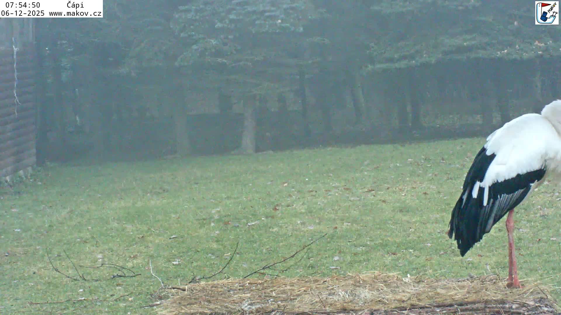 Pisek, Makov Animal Rescue Station Nest Live Cam - Cizova, Pisek, Juhočeský Kraj (South Bohemian), Czechia