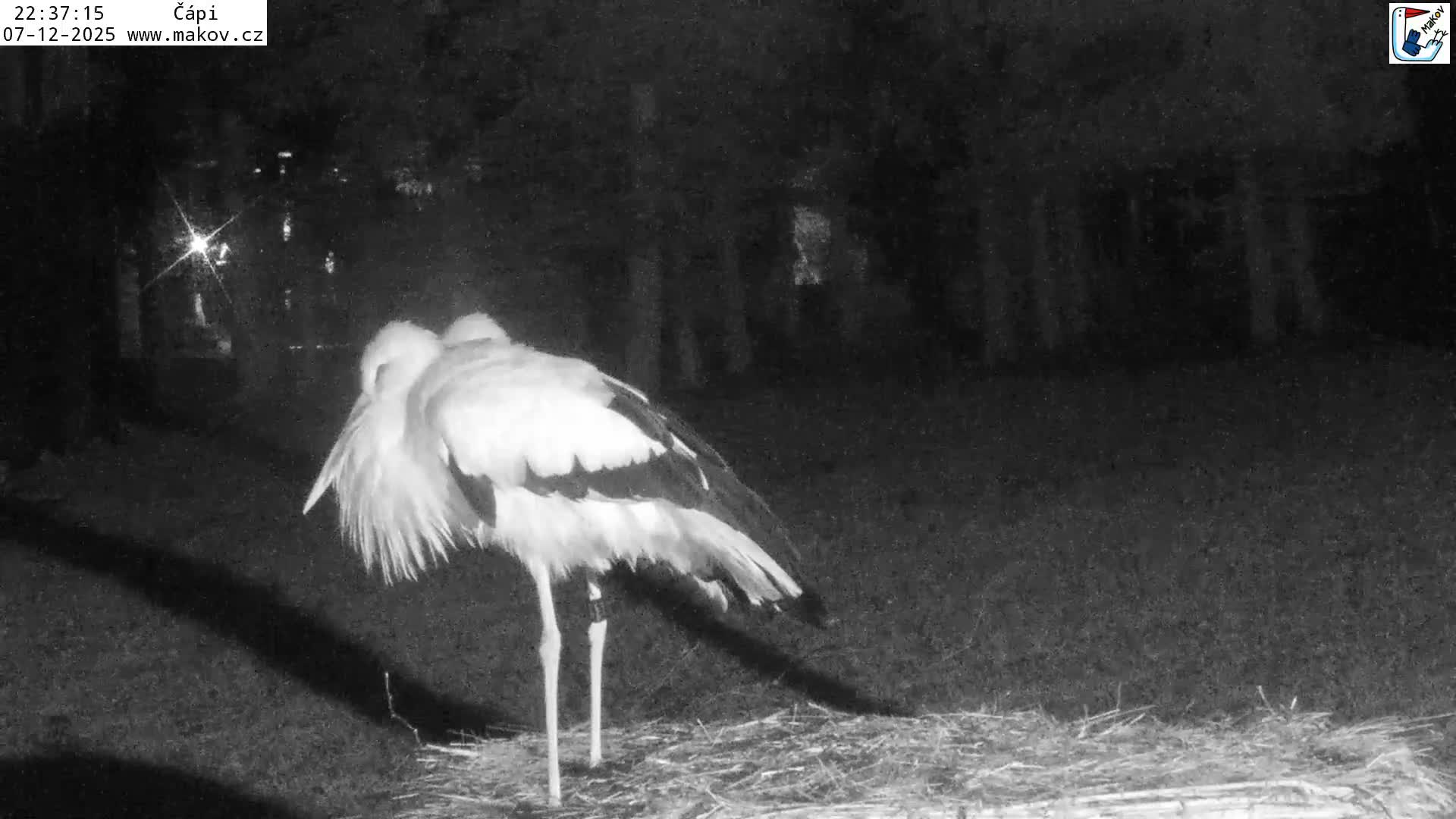 Pisek, Makov Animal Rescue Station Nest Live Cam - Cizova, Pisek, Juhočeský Kraj (South Bohemian), Czechia