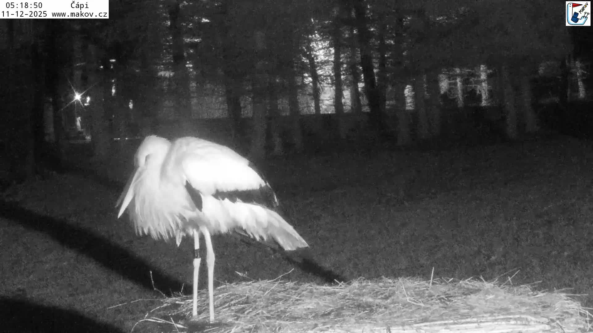 Pisek, Makov Animal Rescue Station Nest Live Cam - Cizova, Pisek, Juhočeský Kraj (South Bohemian), Czechia