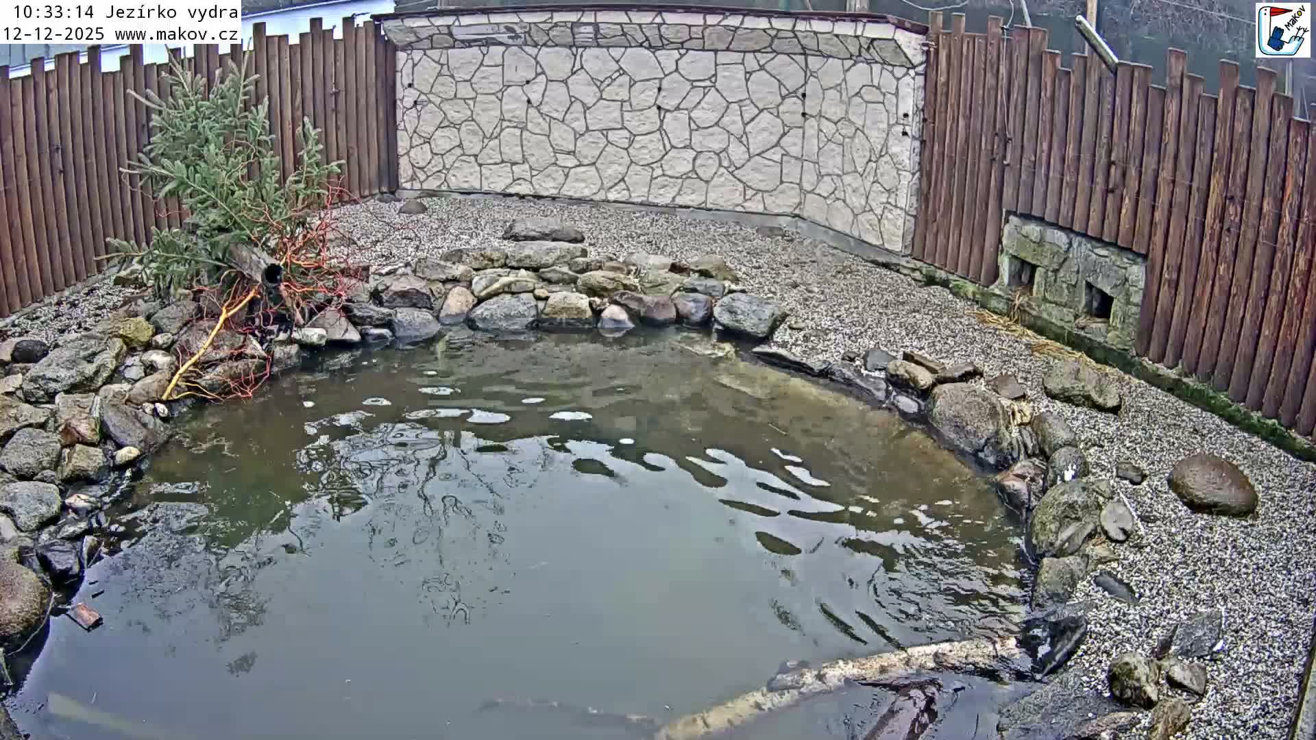 Pisek, Makov Animal Rescue Station Nest Live Cam - Cizova, Pisek, Juhočeský Kraj (South Bohemian), Czechia