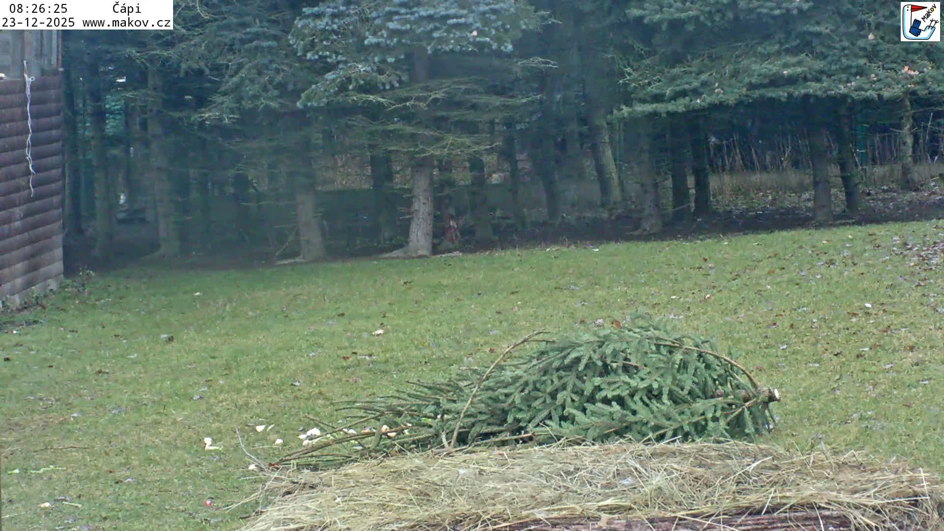 Pisek, Makov Animal Rescue Station Nest Live Cam - Cizova, Pisek, Juhočeský Kraj (South Bohemian), Czechia
