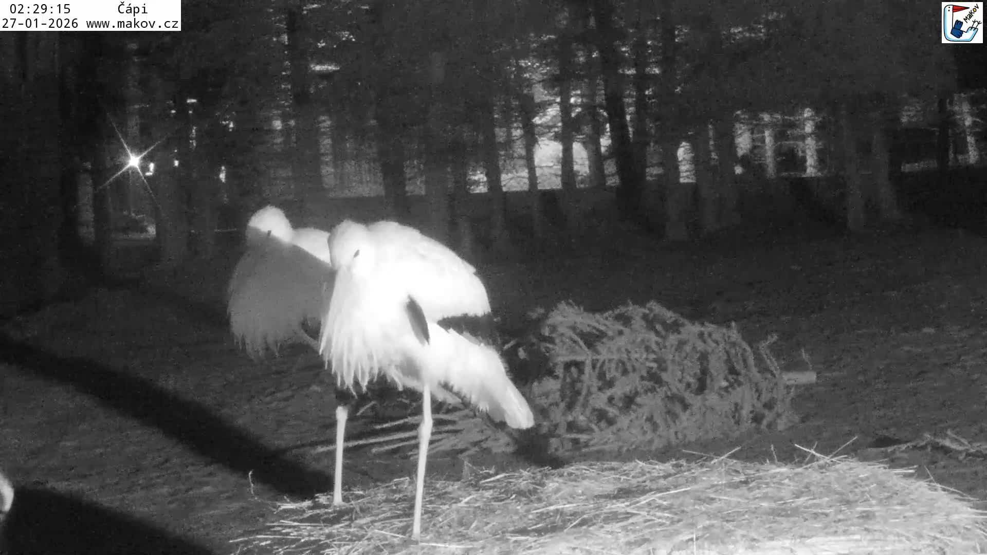 Pisek, Makov Animal Rescue Station Nest Live Cam - Cizova, Pisek, Juhočeský Kraj (South Bohemian), Czechia