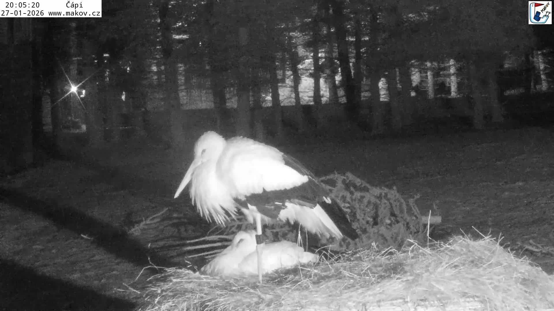Pisek, Makov Animal Rescue Station Nest Live Cam - Cizova, Pisek, Juhočeský Kraj (South Bohemian), Czechia