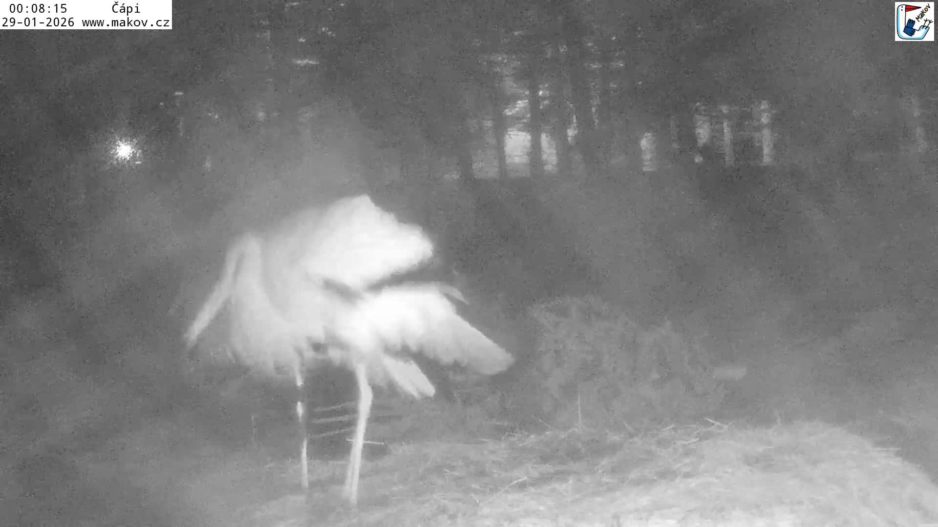 Pisek, Makov Animal Rescue Station Nest Live Cam - Cizova, Pisek, Juhočeský Kraj (South Bohemian), Czechia