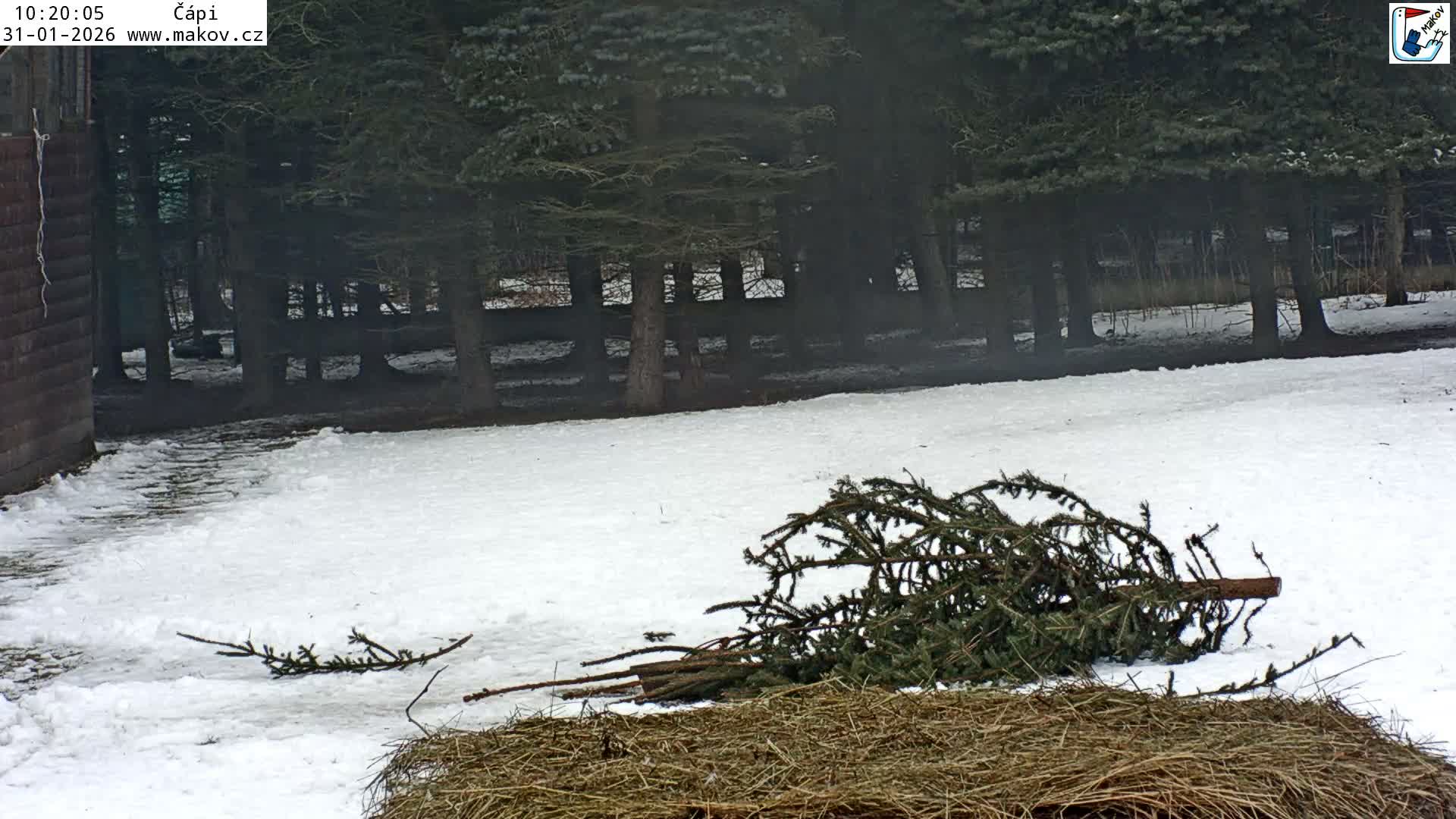 Pisek, Makov Animal Rescue Station Nest Live Cam - Cizova, Pisek, Juhočeský Kraj (South Bohemian), Czechia