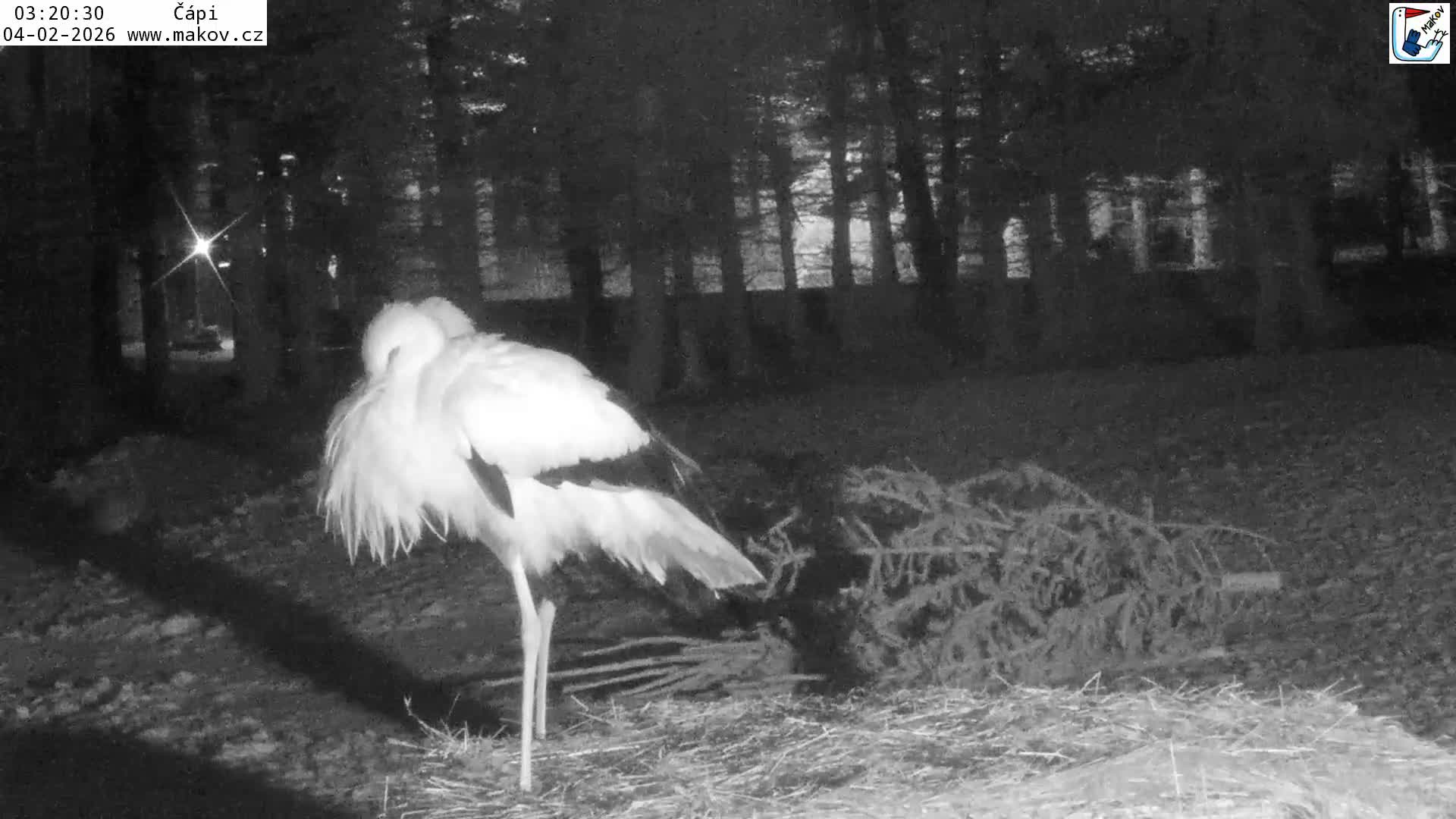 Pisek, Makov Animal Rescue Station Nest Live Cam - Cizova, Pisek, Juhočeský Kraj (South Bohemian), Czechia